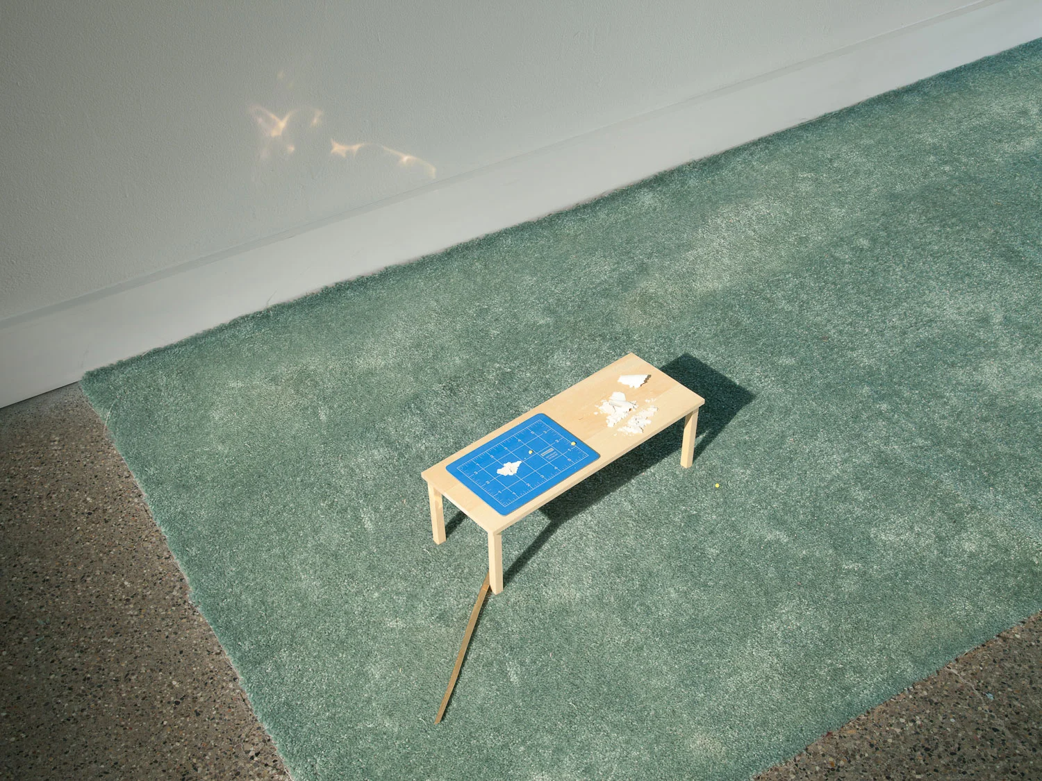 Research 2011 144 x 36 x 6 in. carpet, wood, cutting mat, paint, gold, spotlight, book, praying mantis, tape, vanity fixture, LED lamps