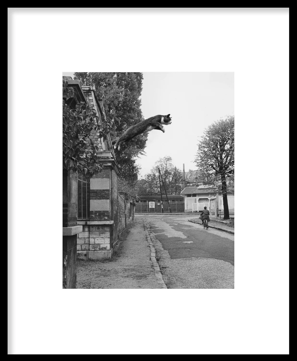   Leap Aprés la Souris &nbsp; 🐈  2014 43.2 x 35.6 cm. archival inkjet print 