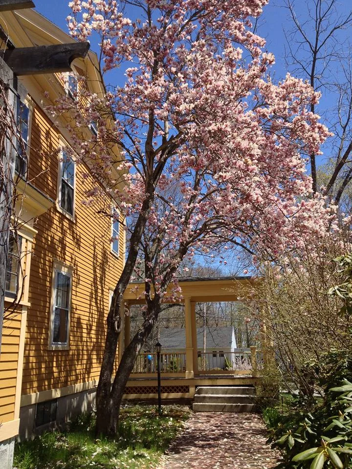 The side path
