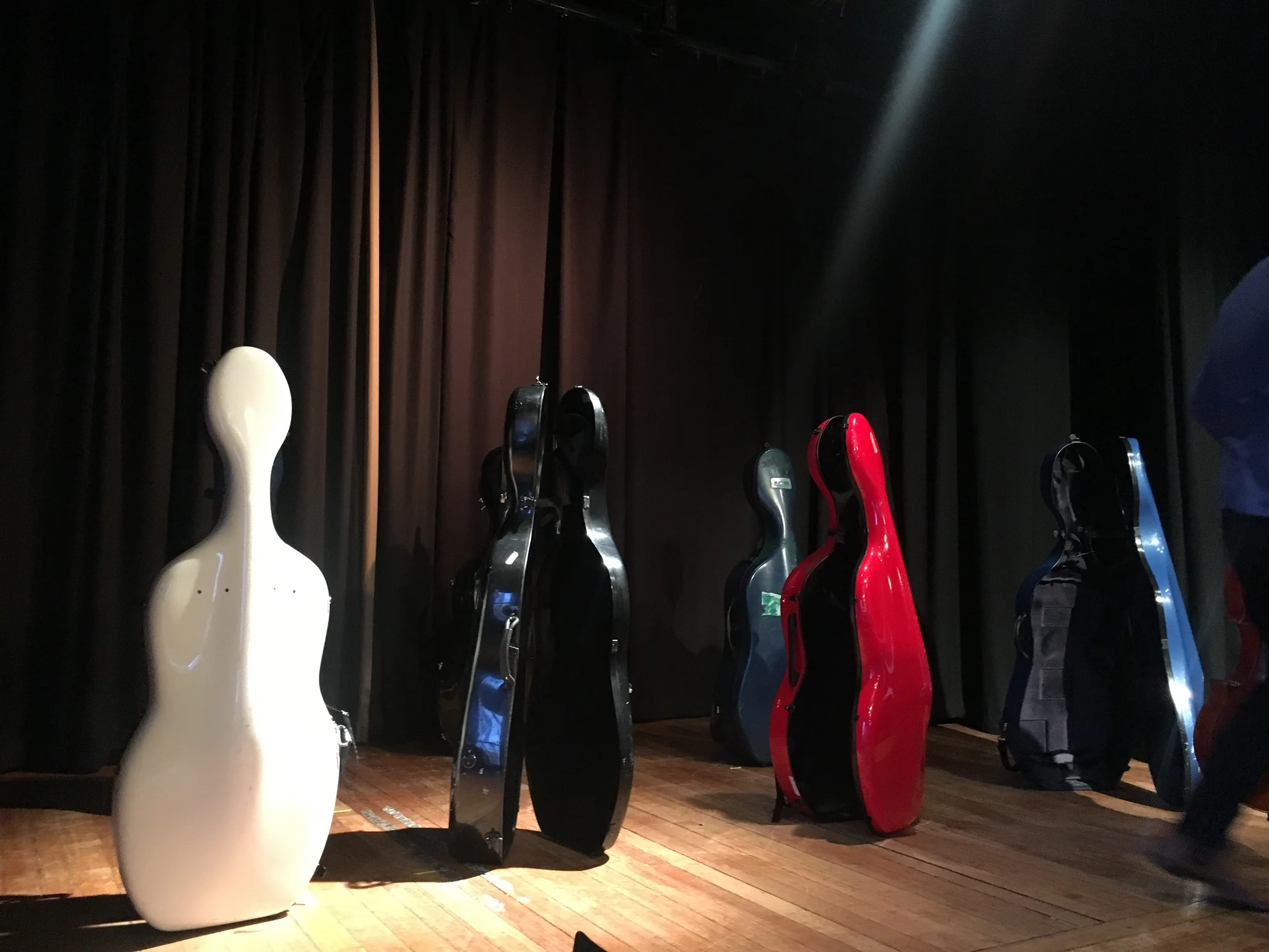 Cello Cases in the Wild