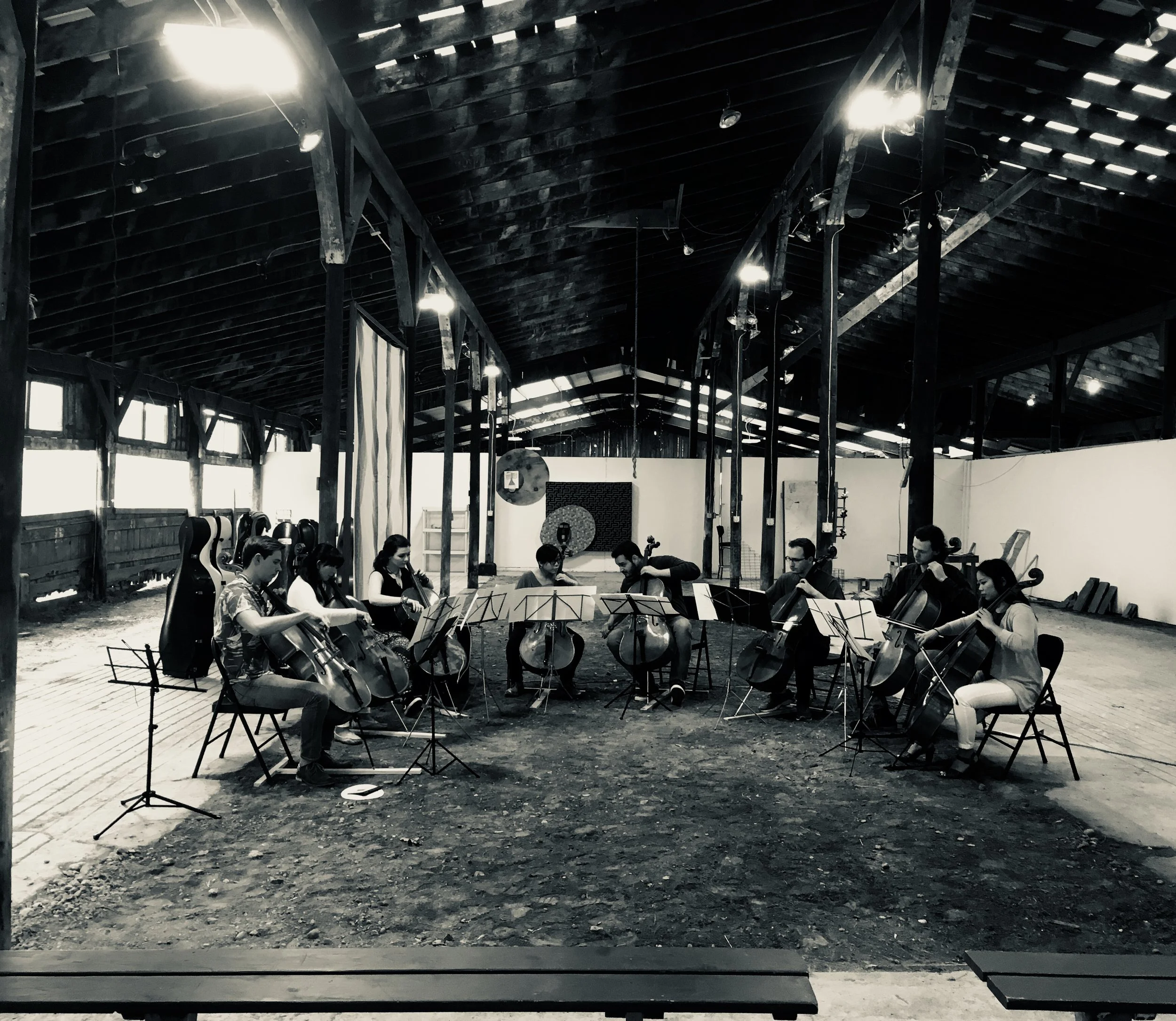 cellists performing in a barn.