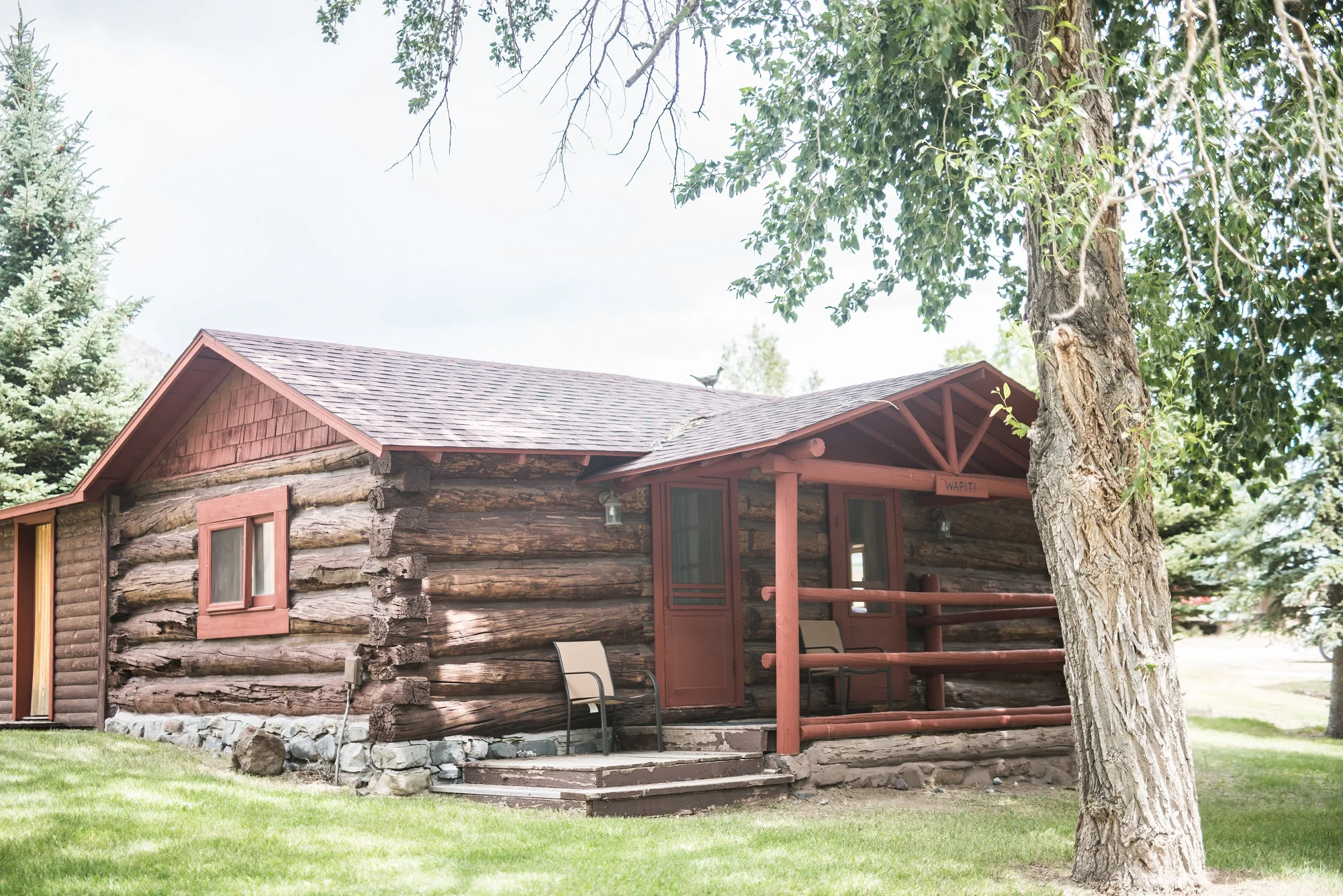 Wapiti — Double Diamond X Ranch Upper South Fork Valley Cody, Wyoming