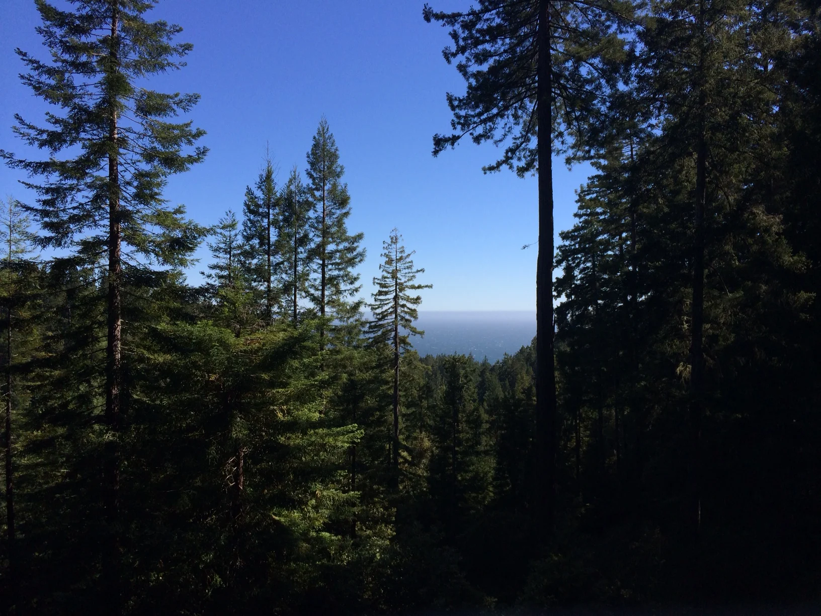 Here's a sneak peak of the view from the Hill House. We're hoping for weather like this in August!