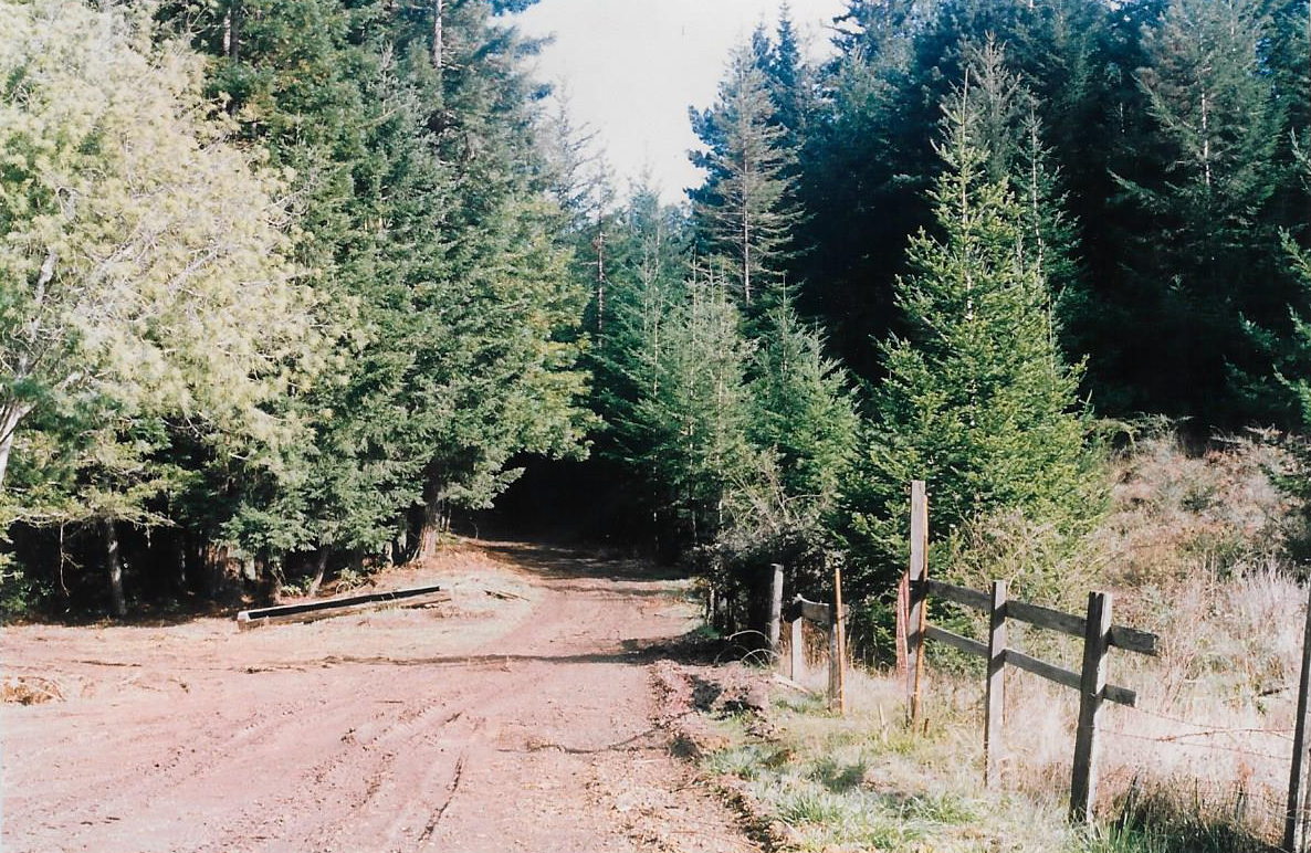 The road to Project 387 in 1990