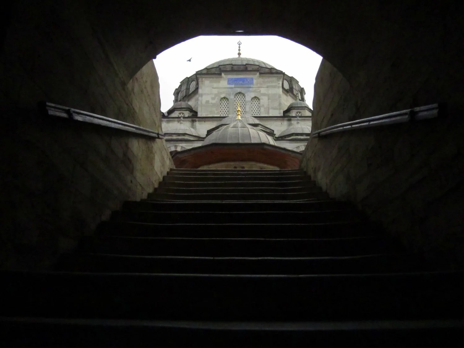 288-IMG_4880.JPG