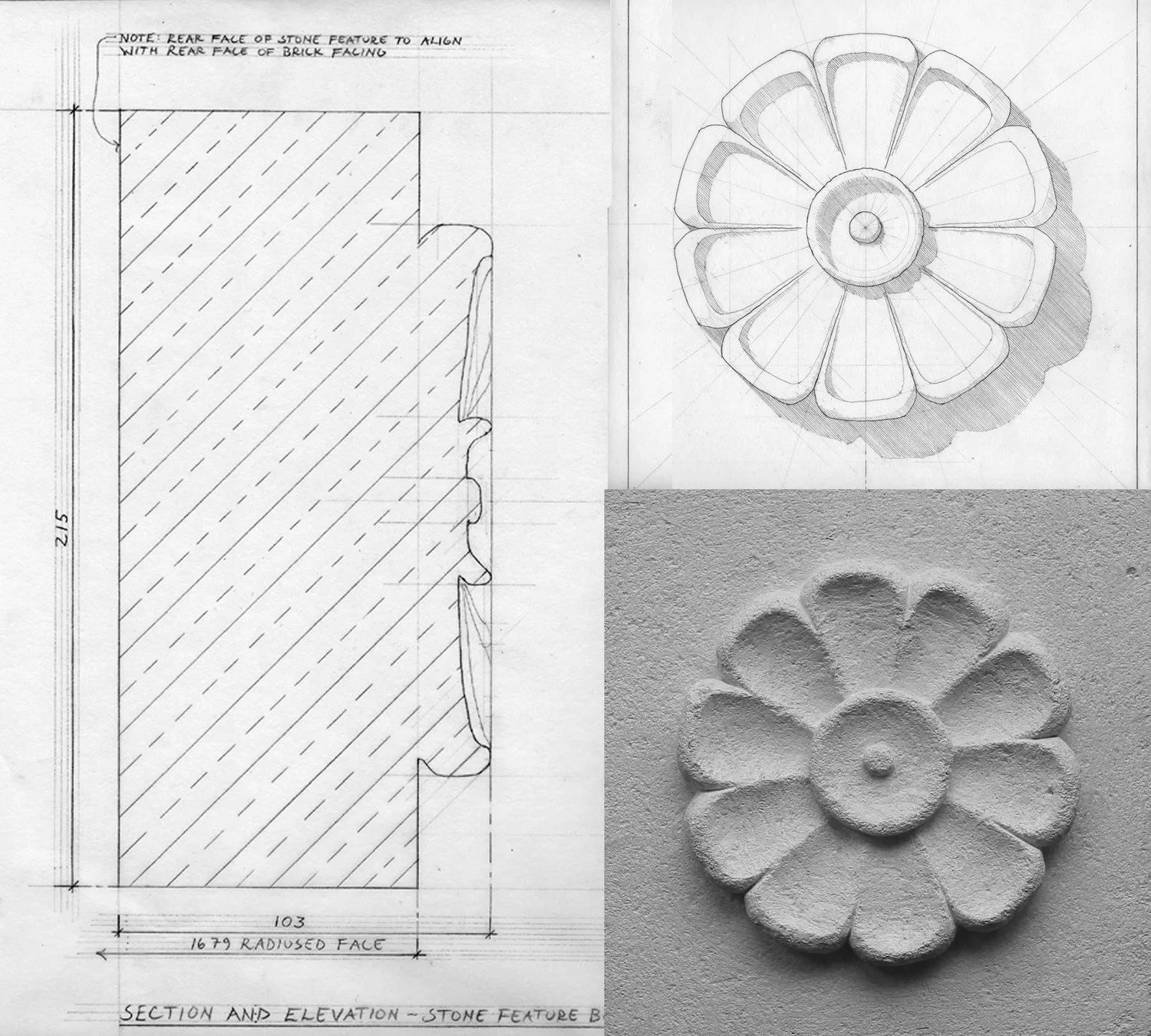 08-rosetteelevation.jpg