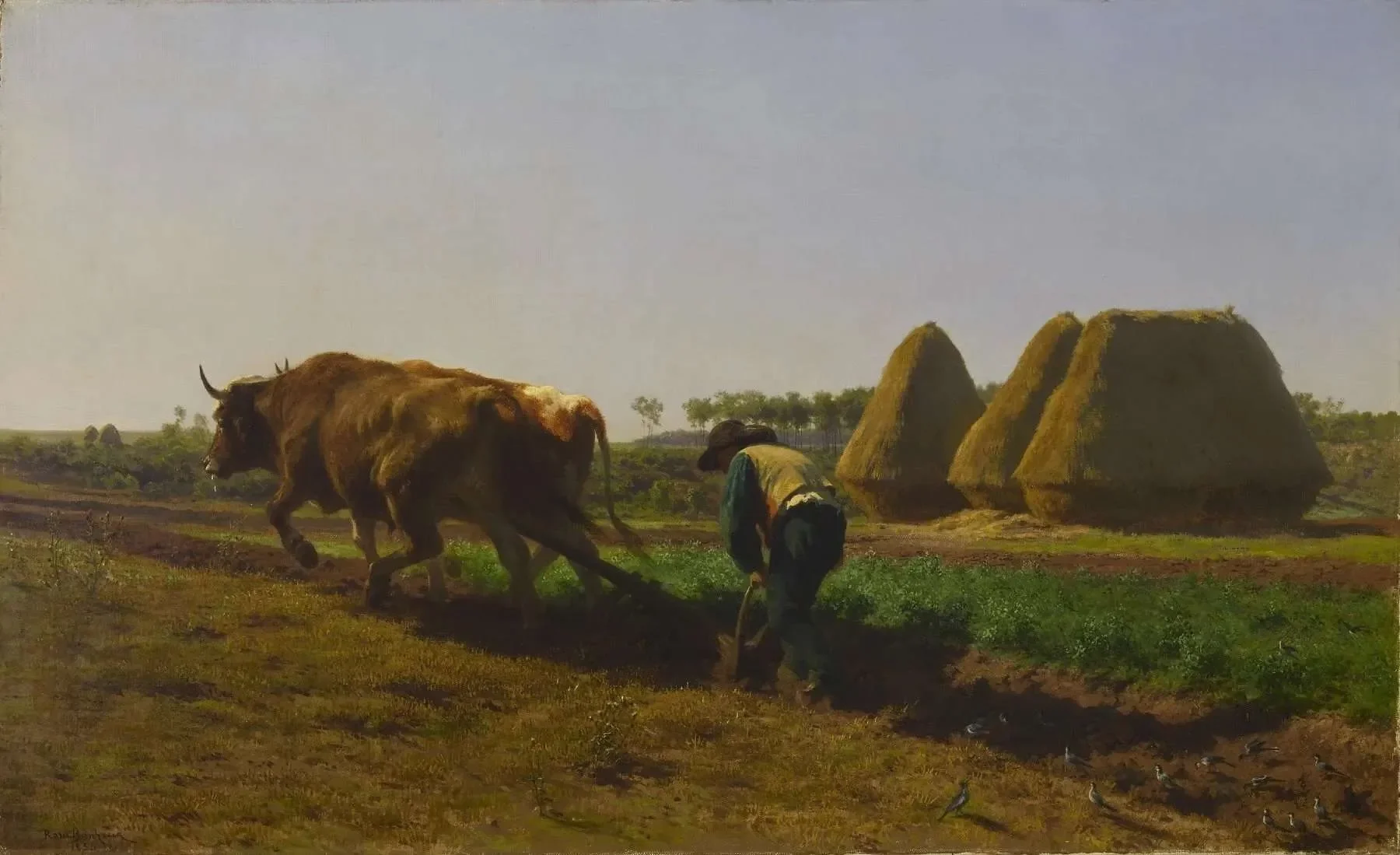 Sixth Sunday After Pentecost, July 5, 2026 - Hedrick