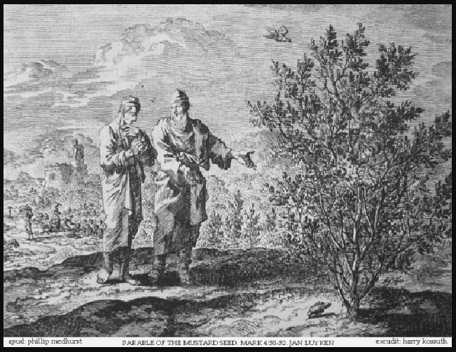 Ninth Sunday After Pentecost, July 26, 2026 - Brashier