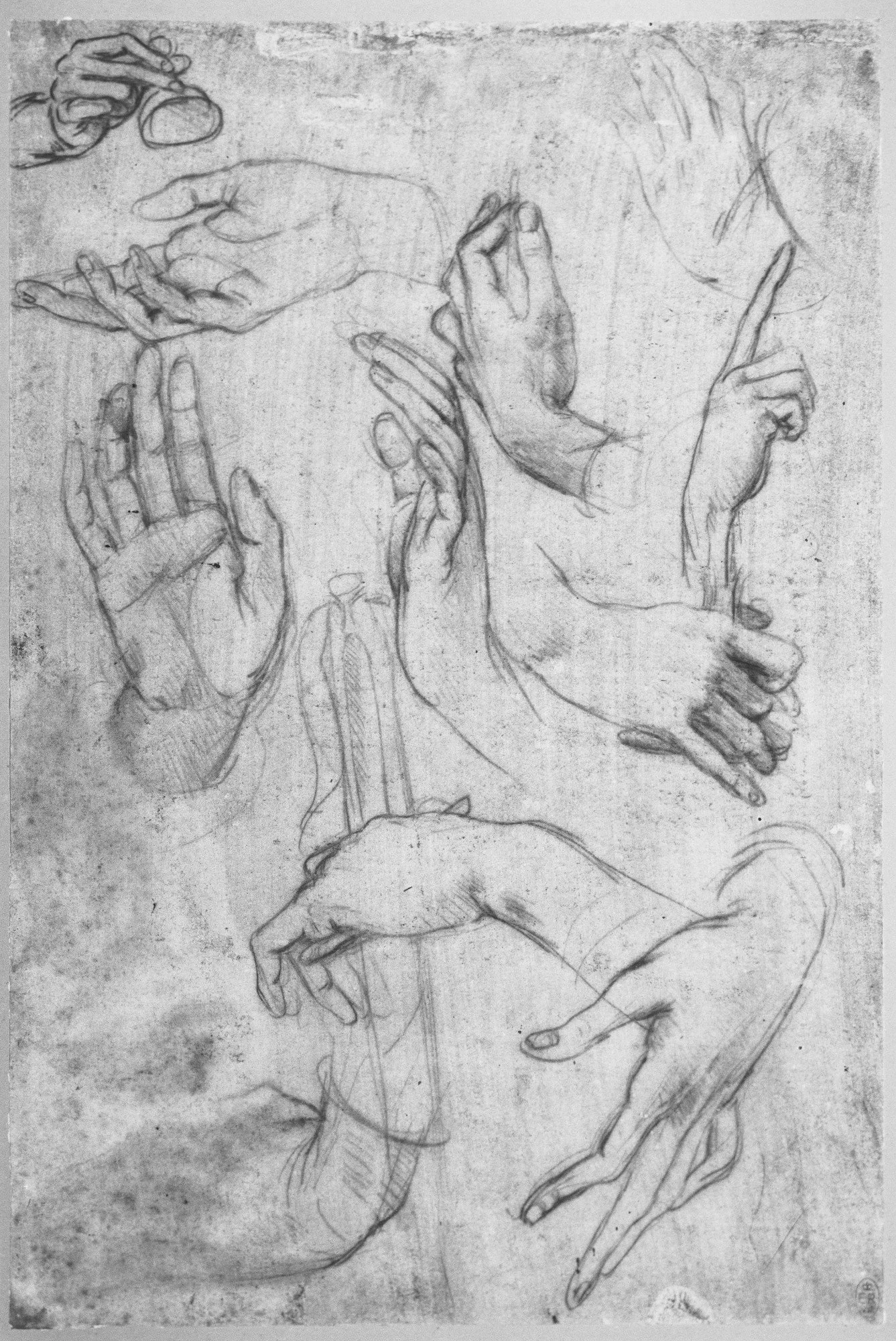 Leonardo_da_Vinci_-_RCIN_912616,_Studies_of_hands_c.1480.jpg