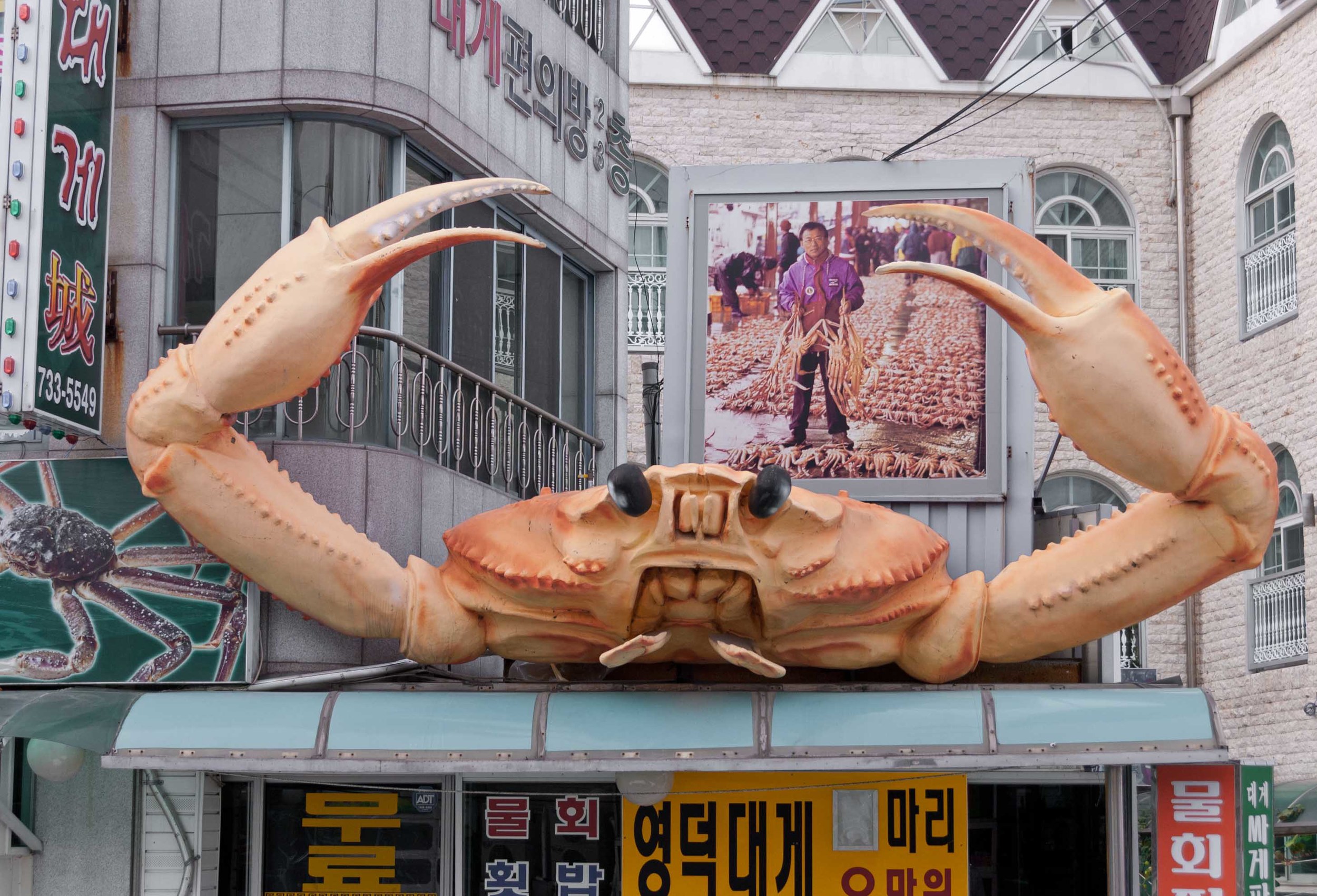 big crab building.jpg