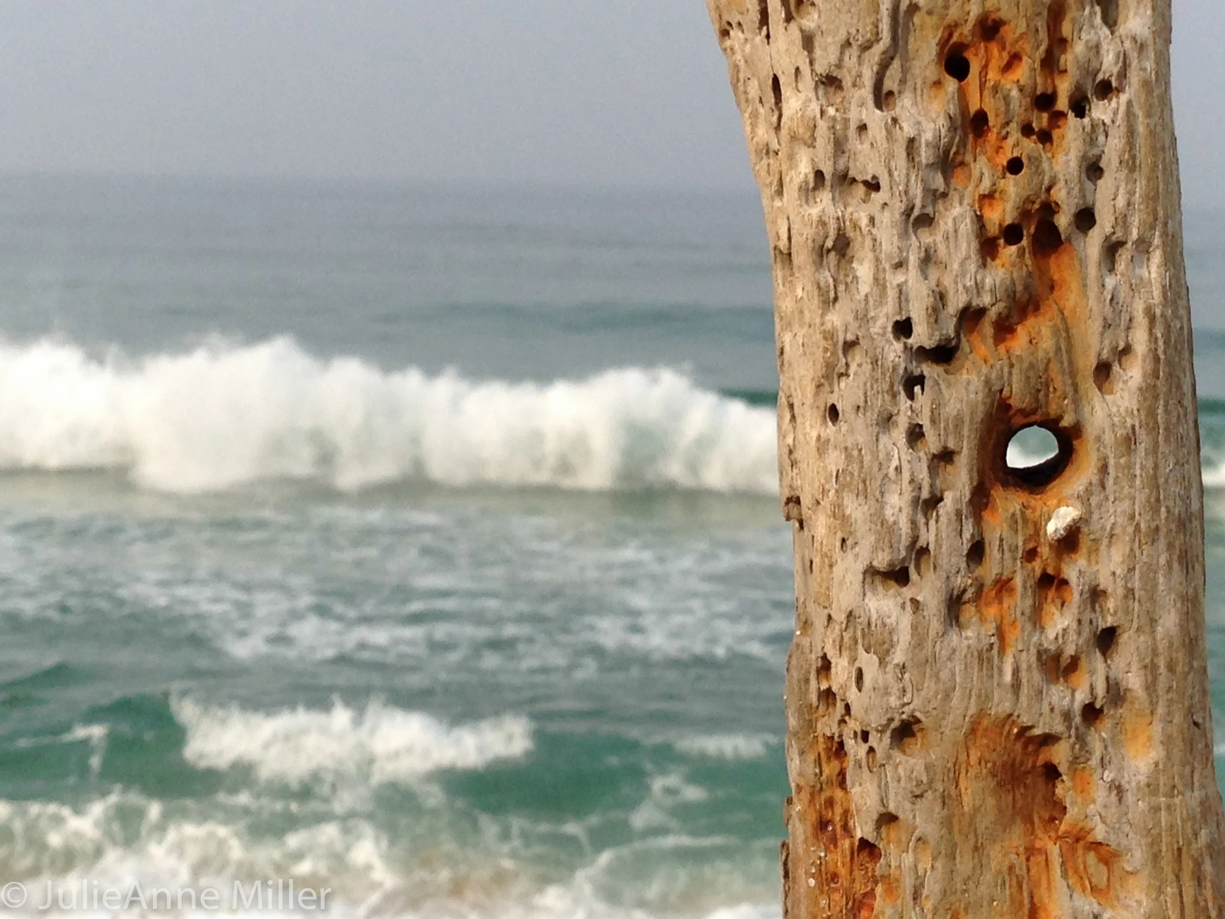 Gojinup Beach