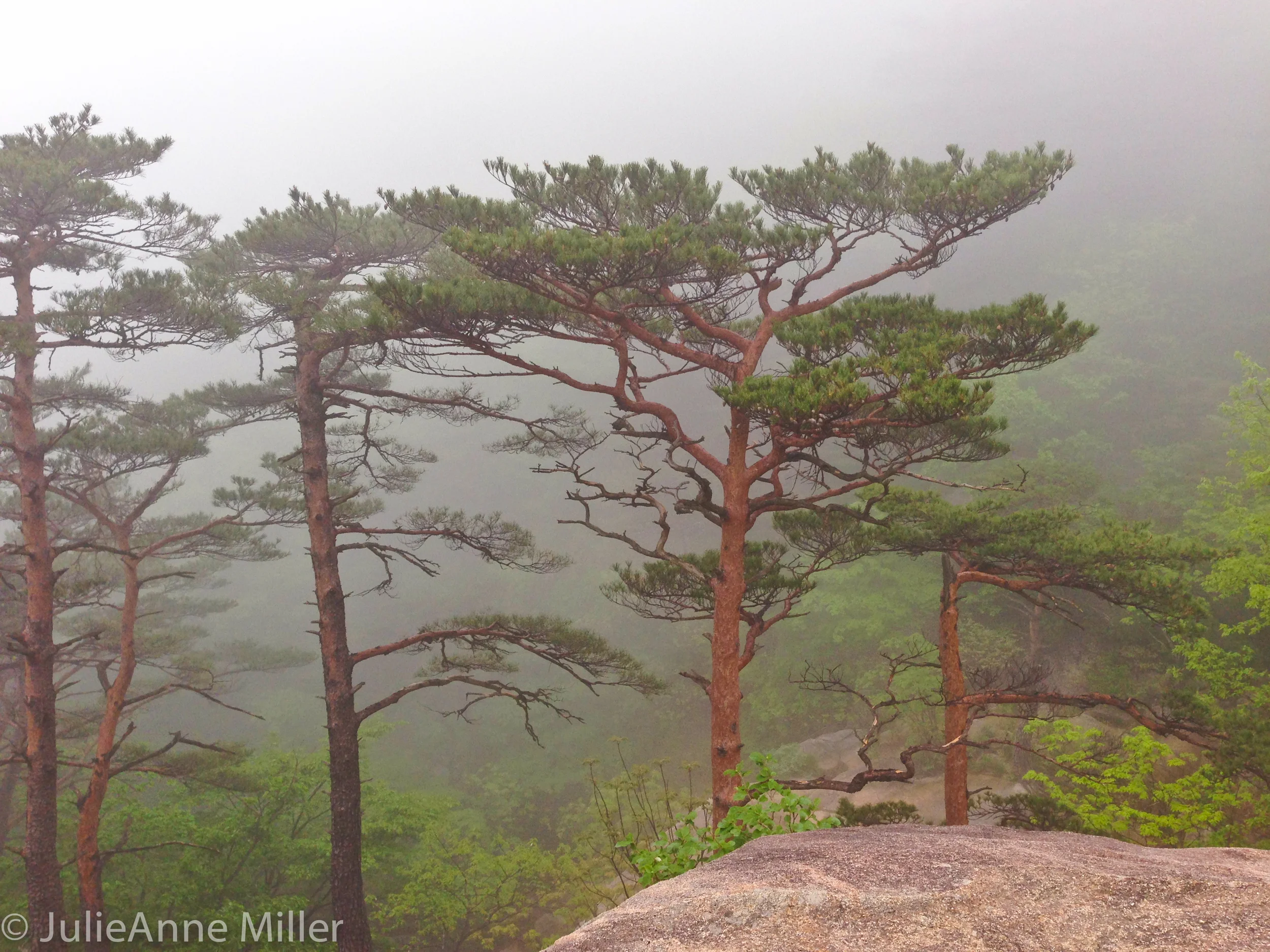 hiking in Seorak San