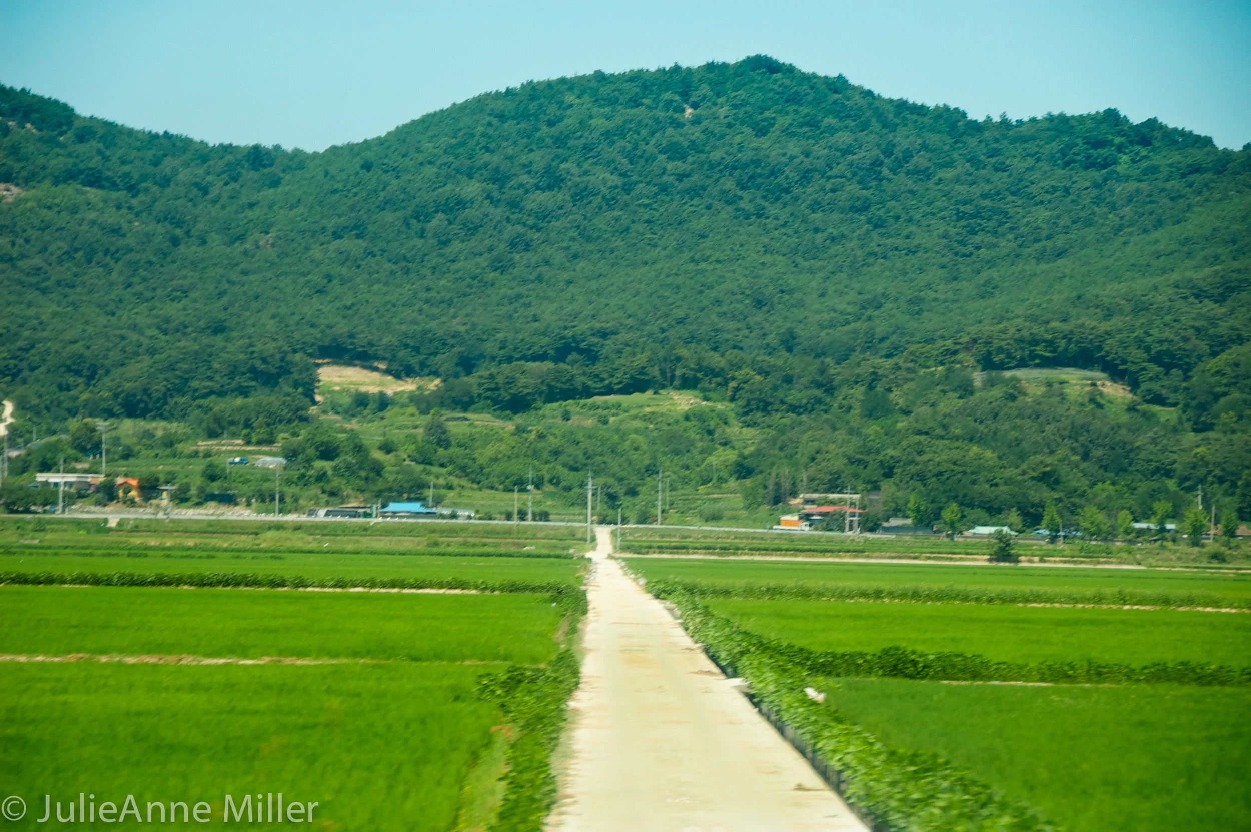 Road to Andong