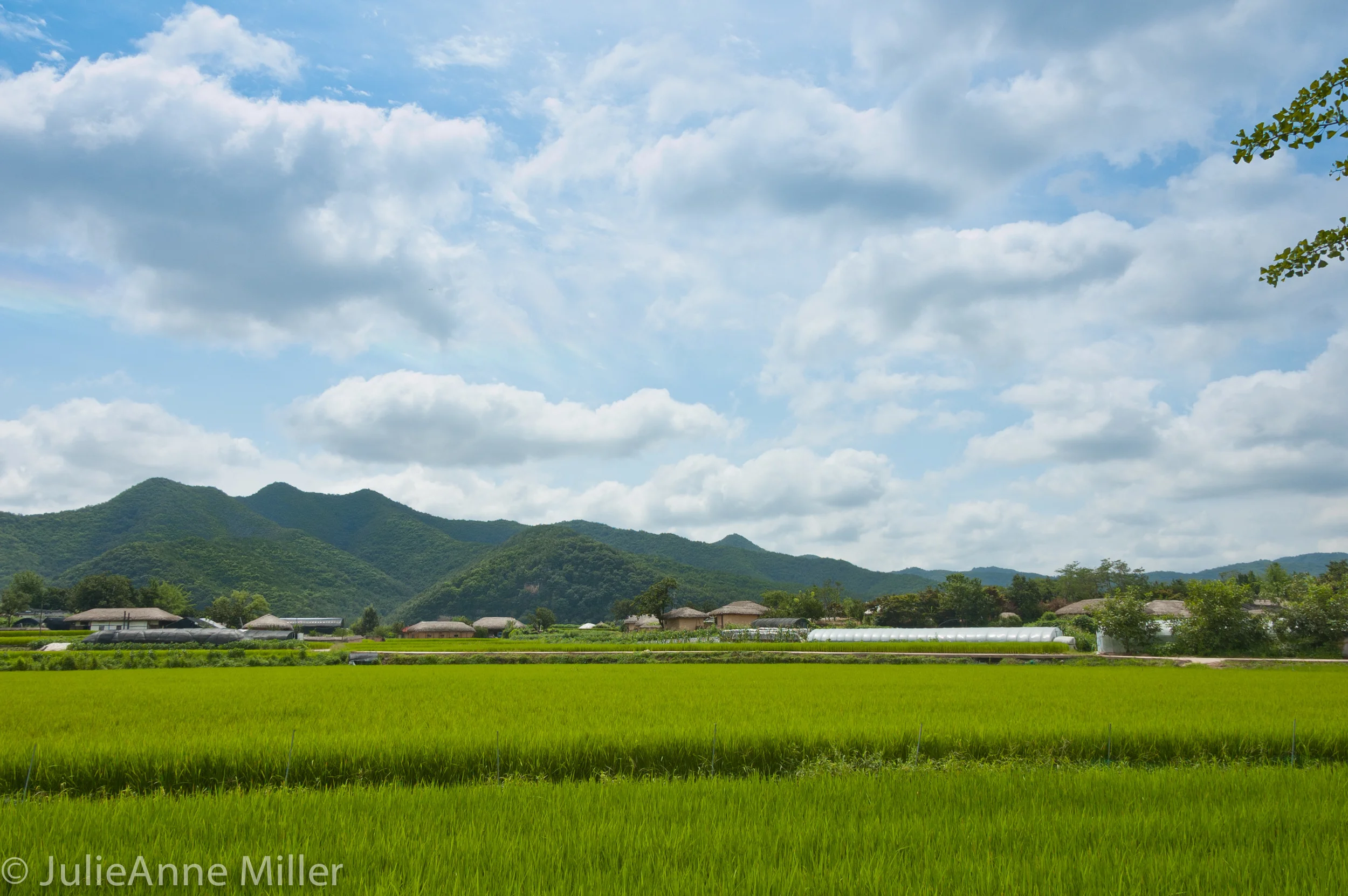 Hahoe Folk Village