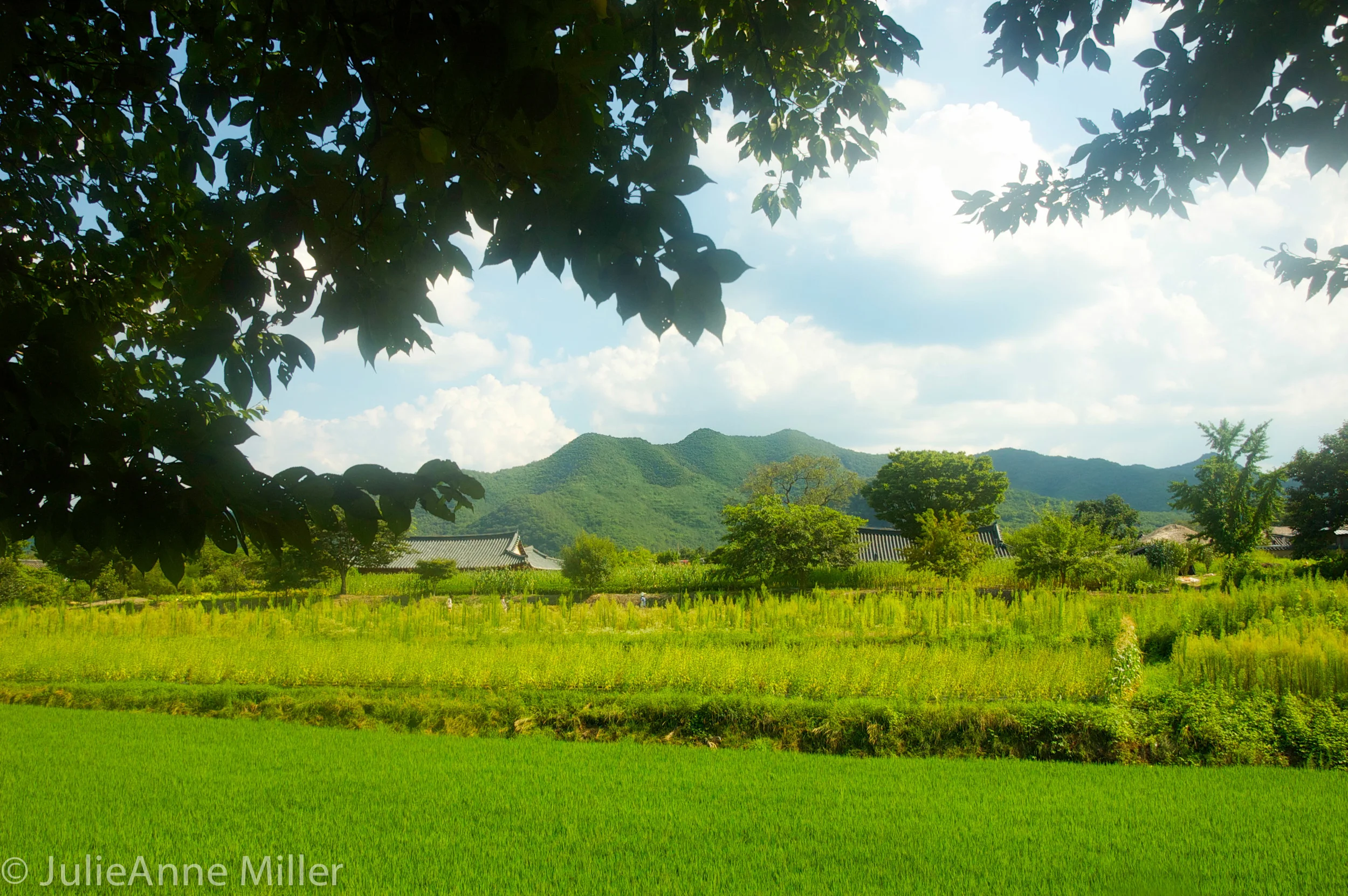 Hahoe Folk Village