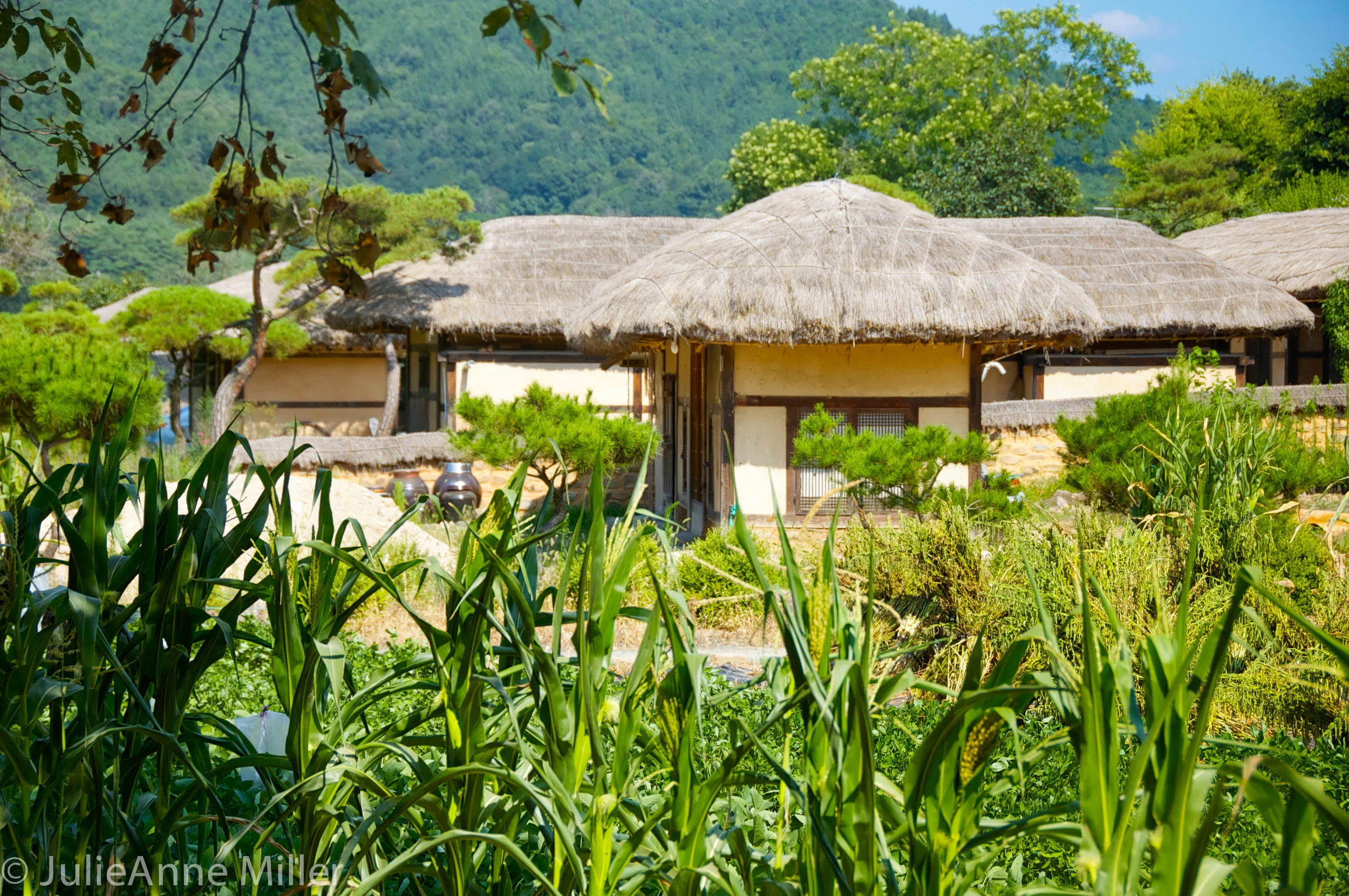 Hahoe Folk Village