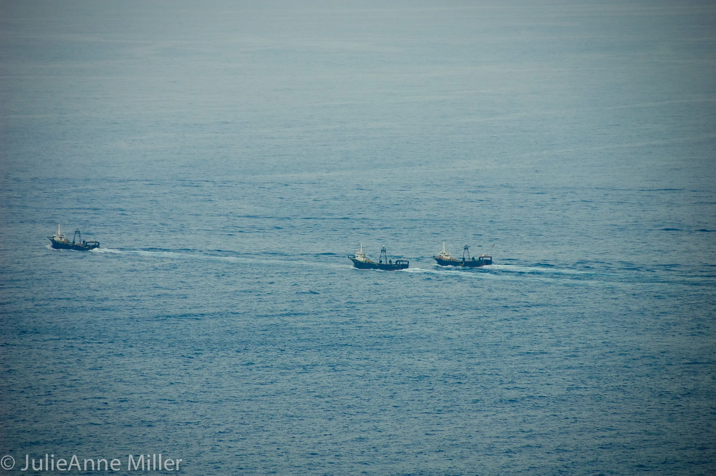 shrimp boats returning.jpg