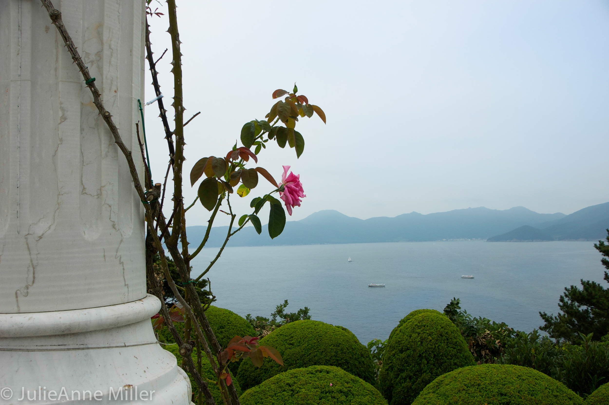 pillar flower wado.jpg