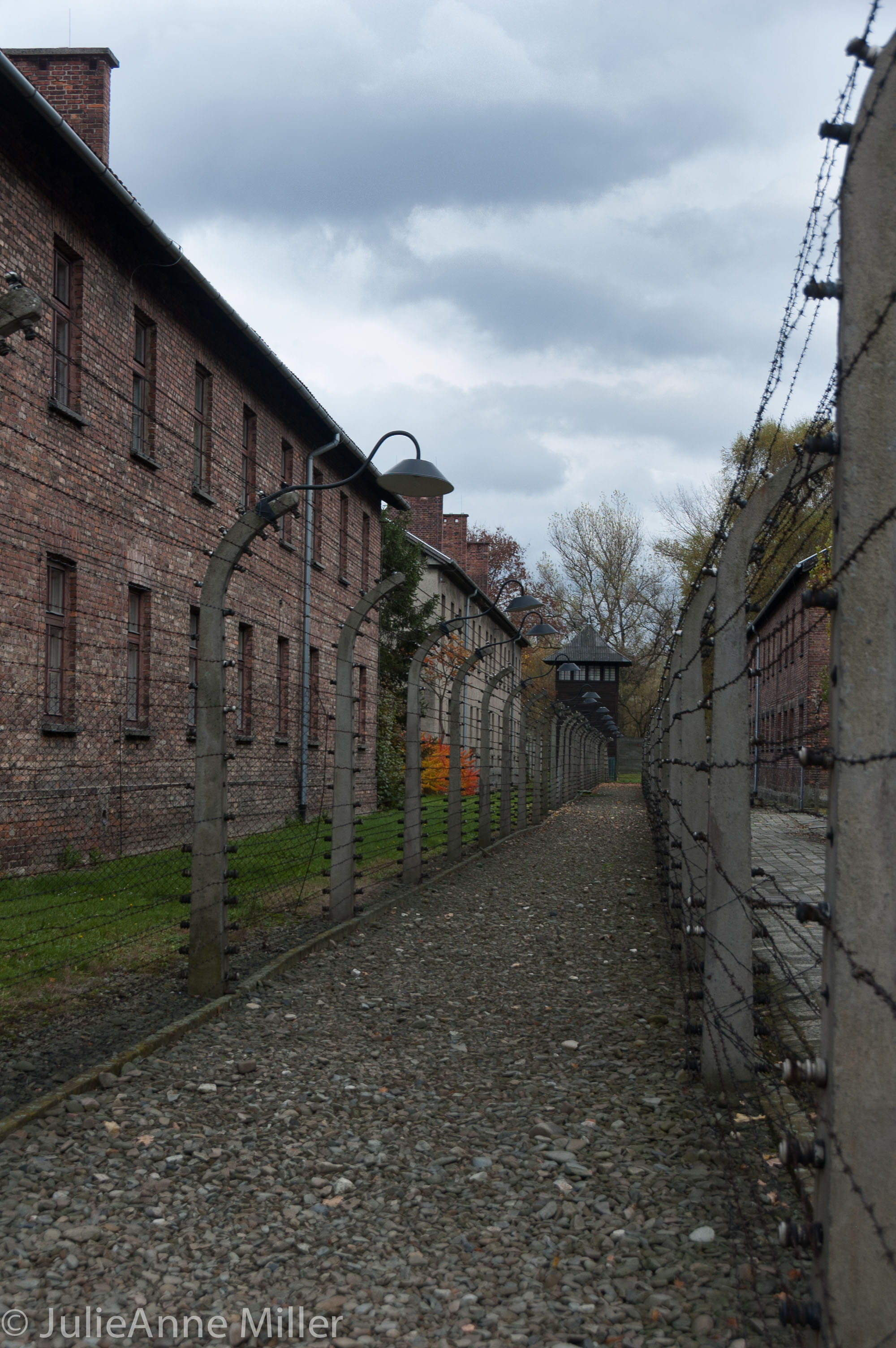auschwitz 5.jpg