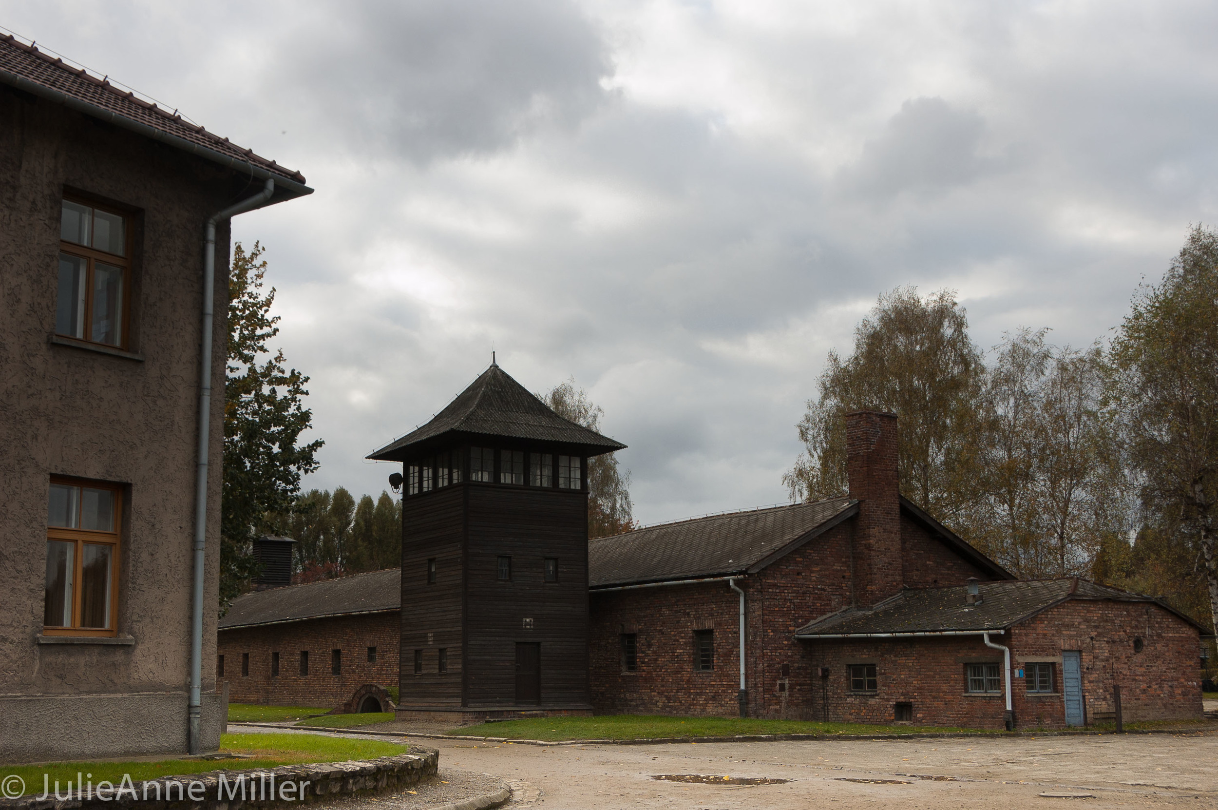 auschwitz 6.jpg