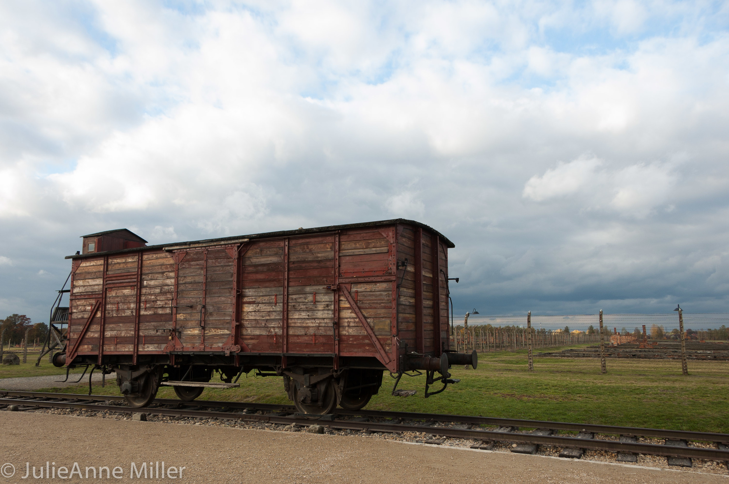 birkenau train.jpg