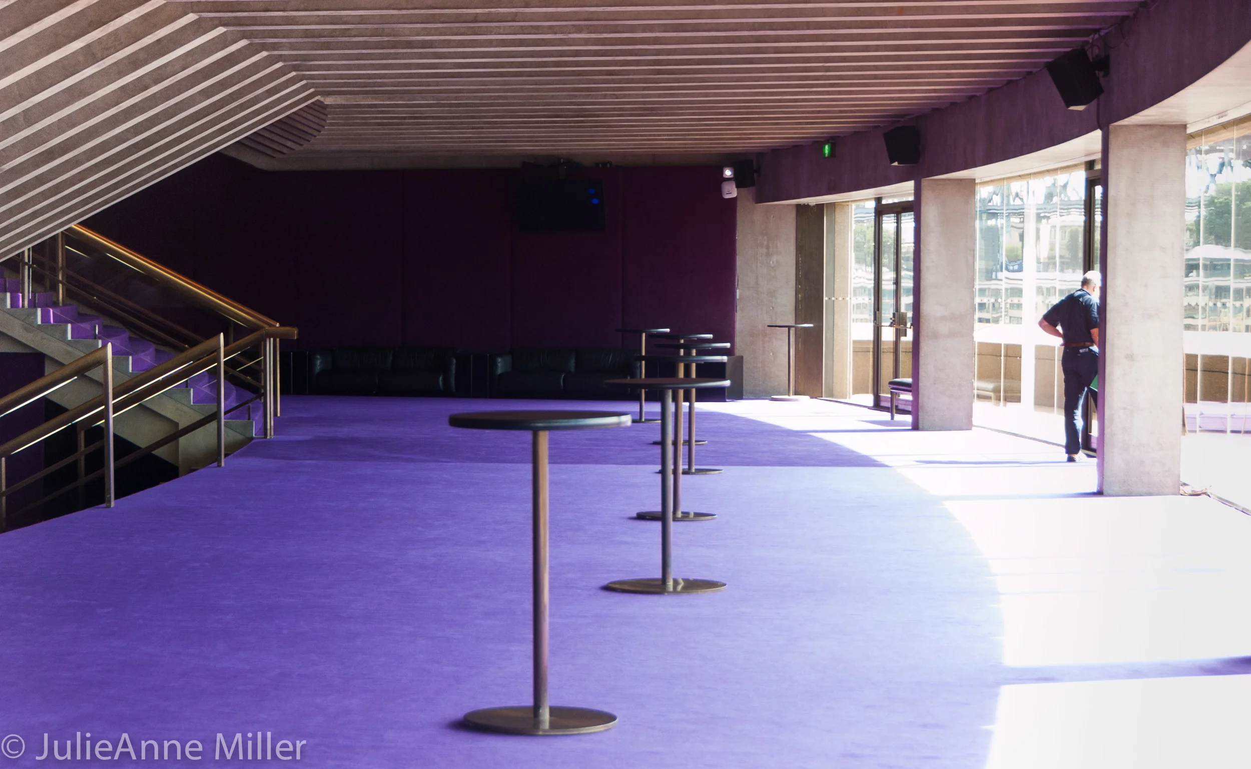 purple room.jpg