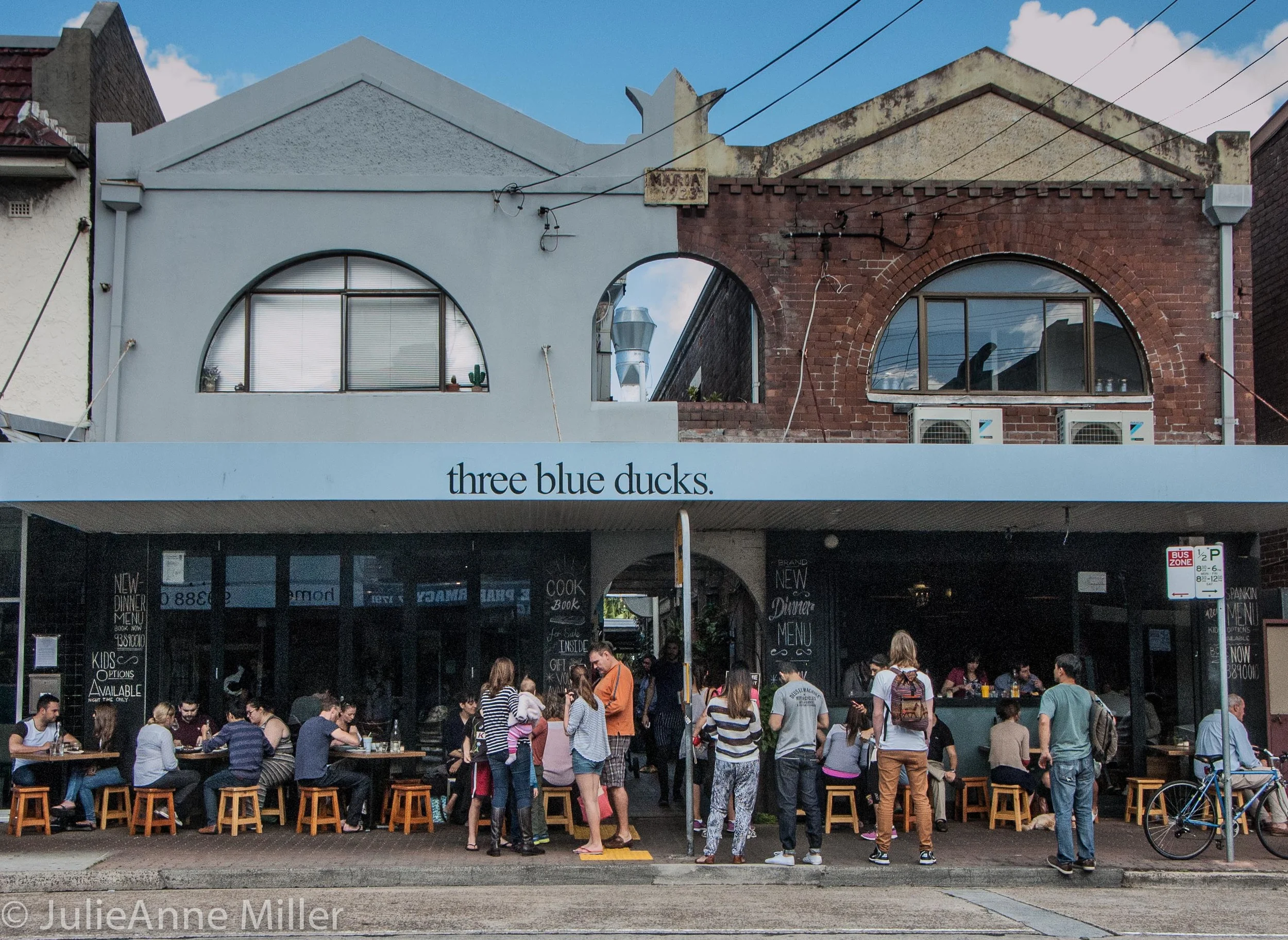 3 Blue Ducks