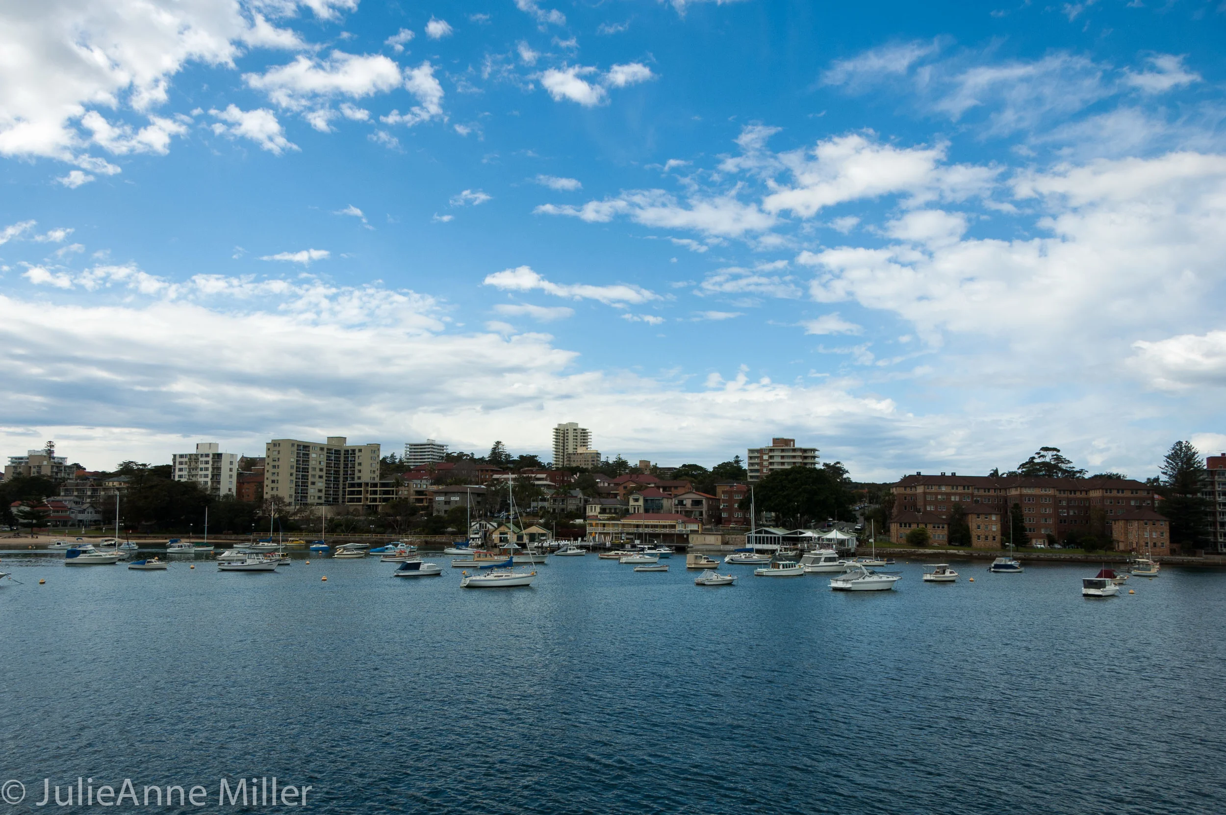 Manly Cove
