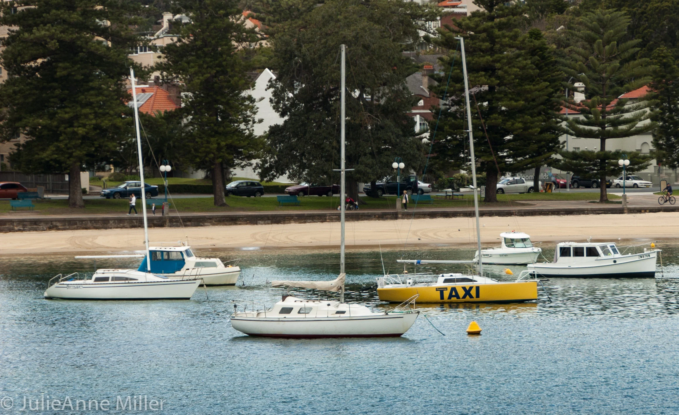 Manly Cove