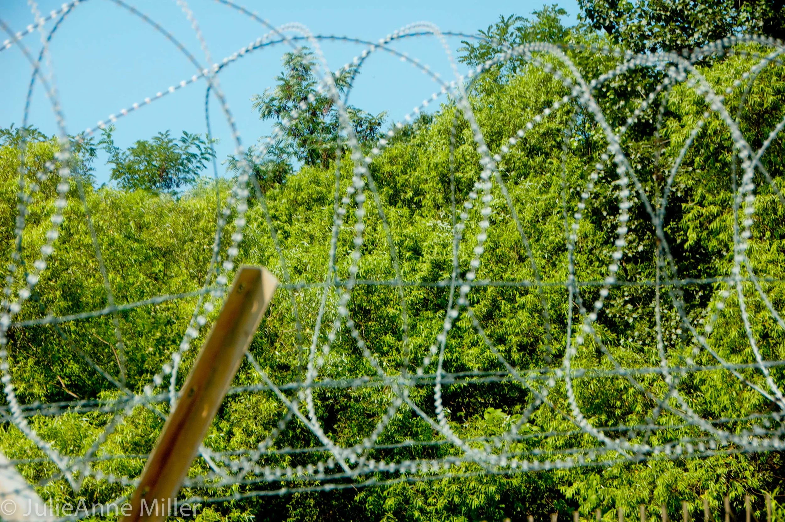 barb wire