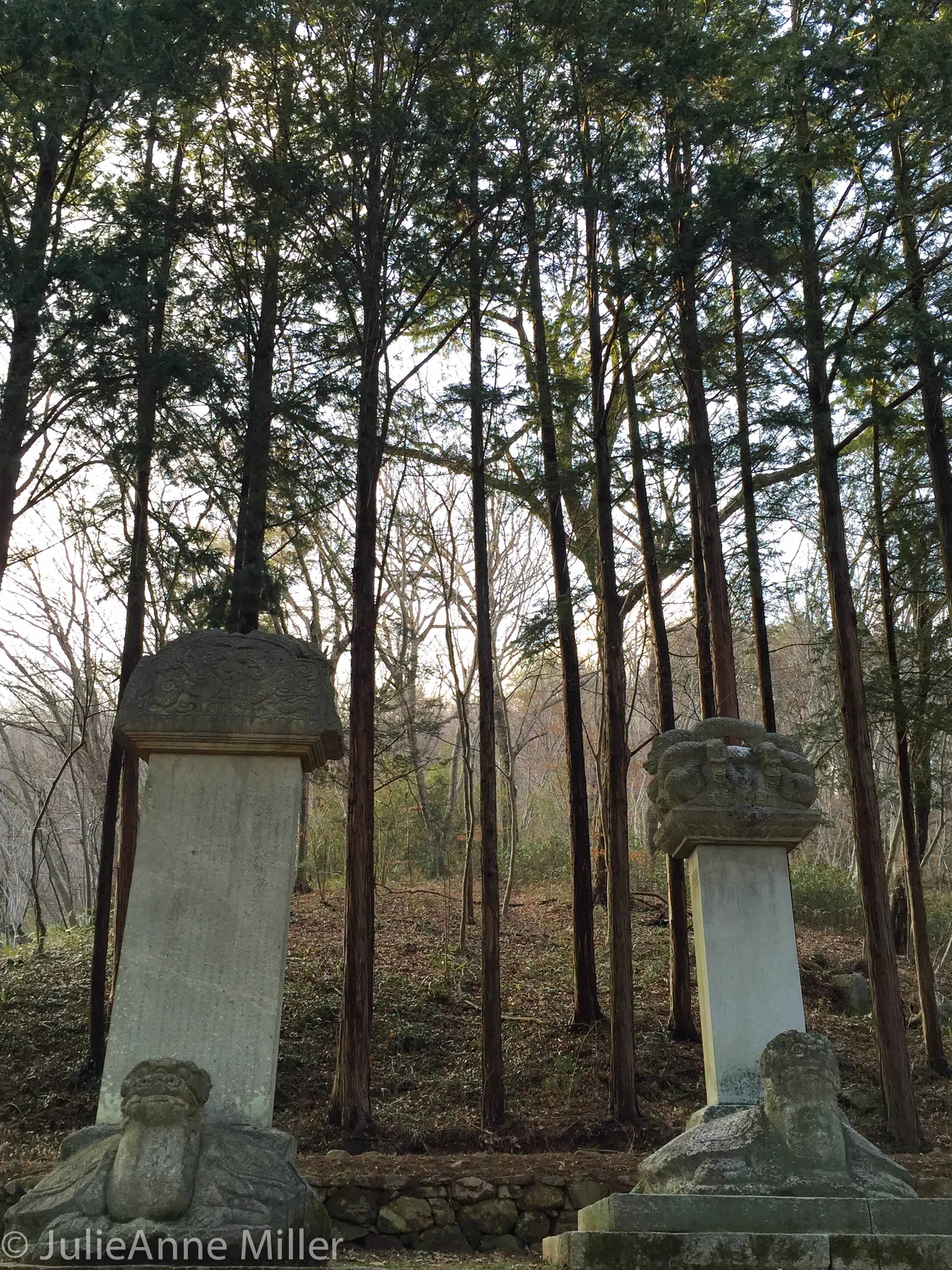 memorials and trees.jpg