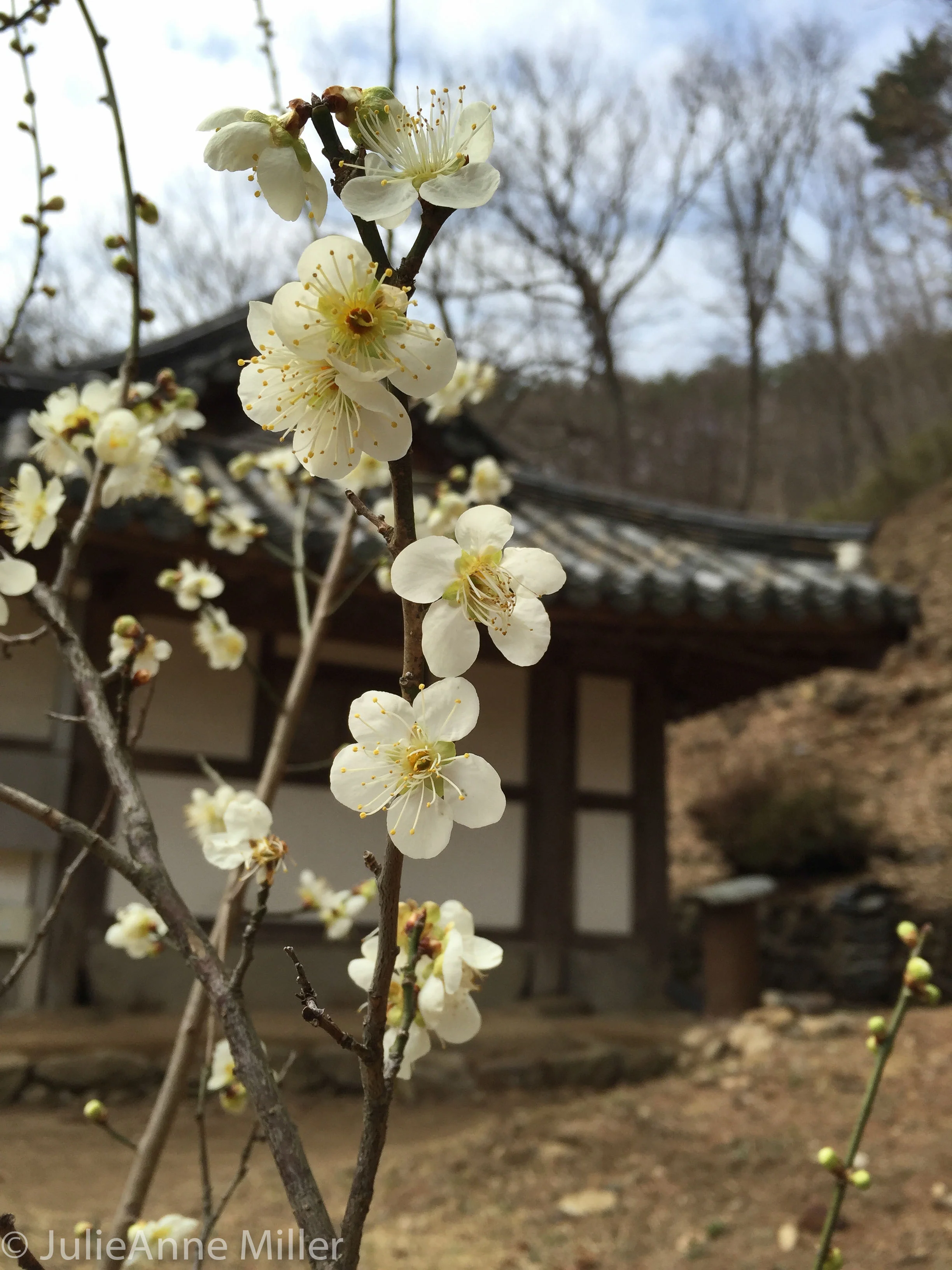 Memorial for Teacher Beop Jeong
