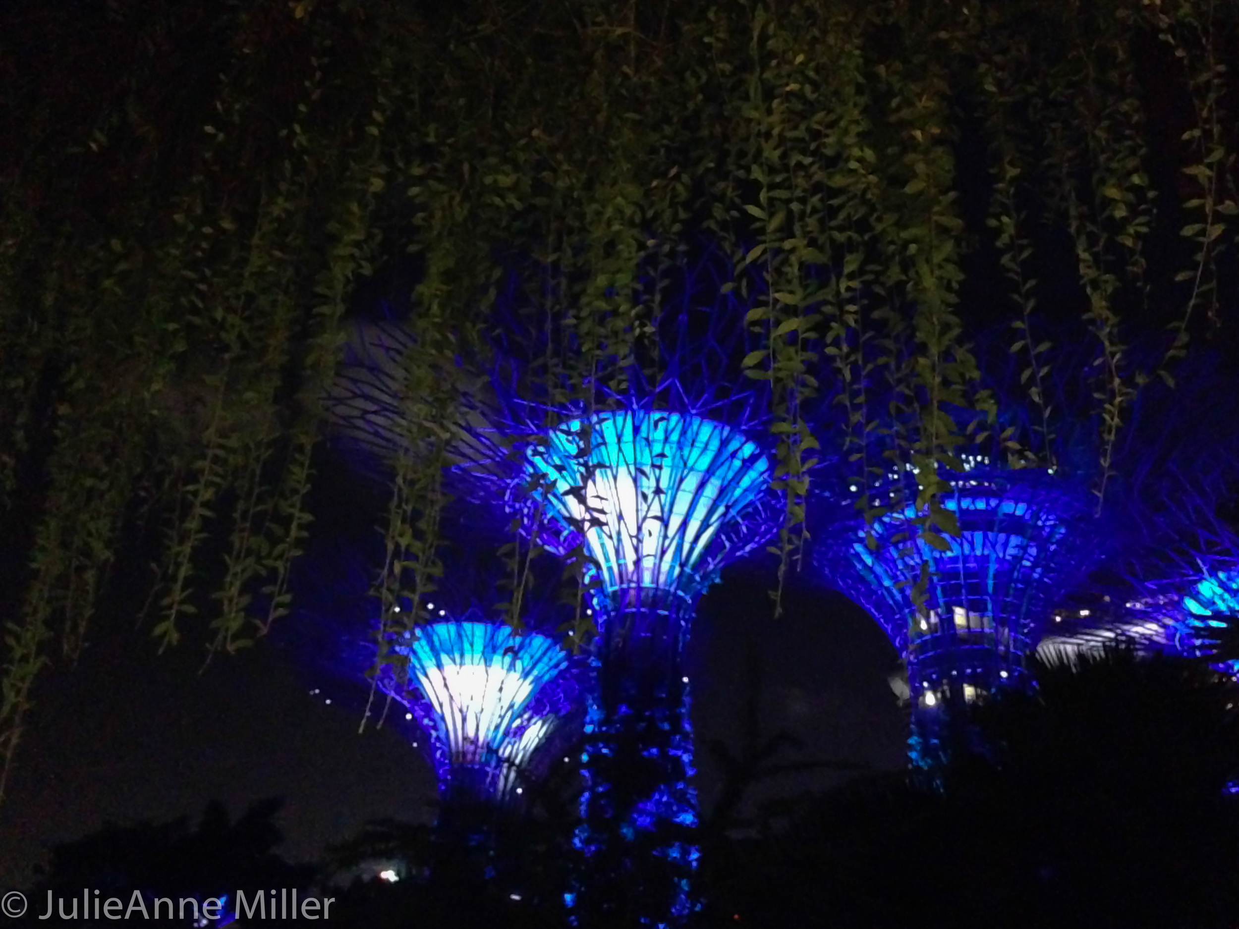 Super Trees