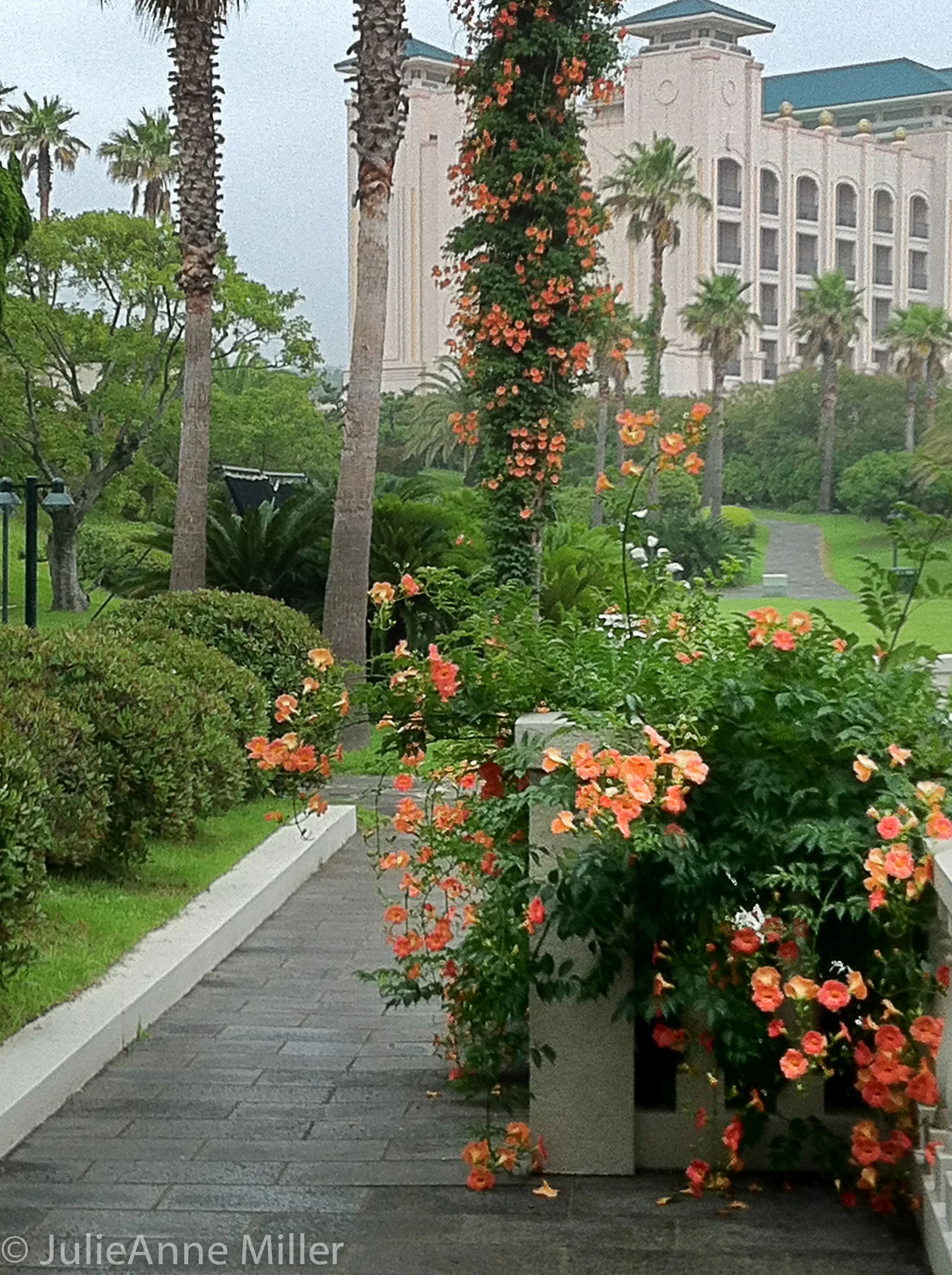 Shilla Hotel