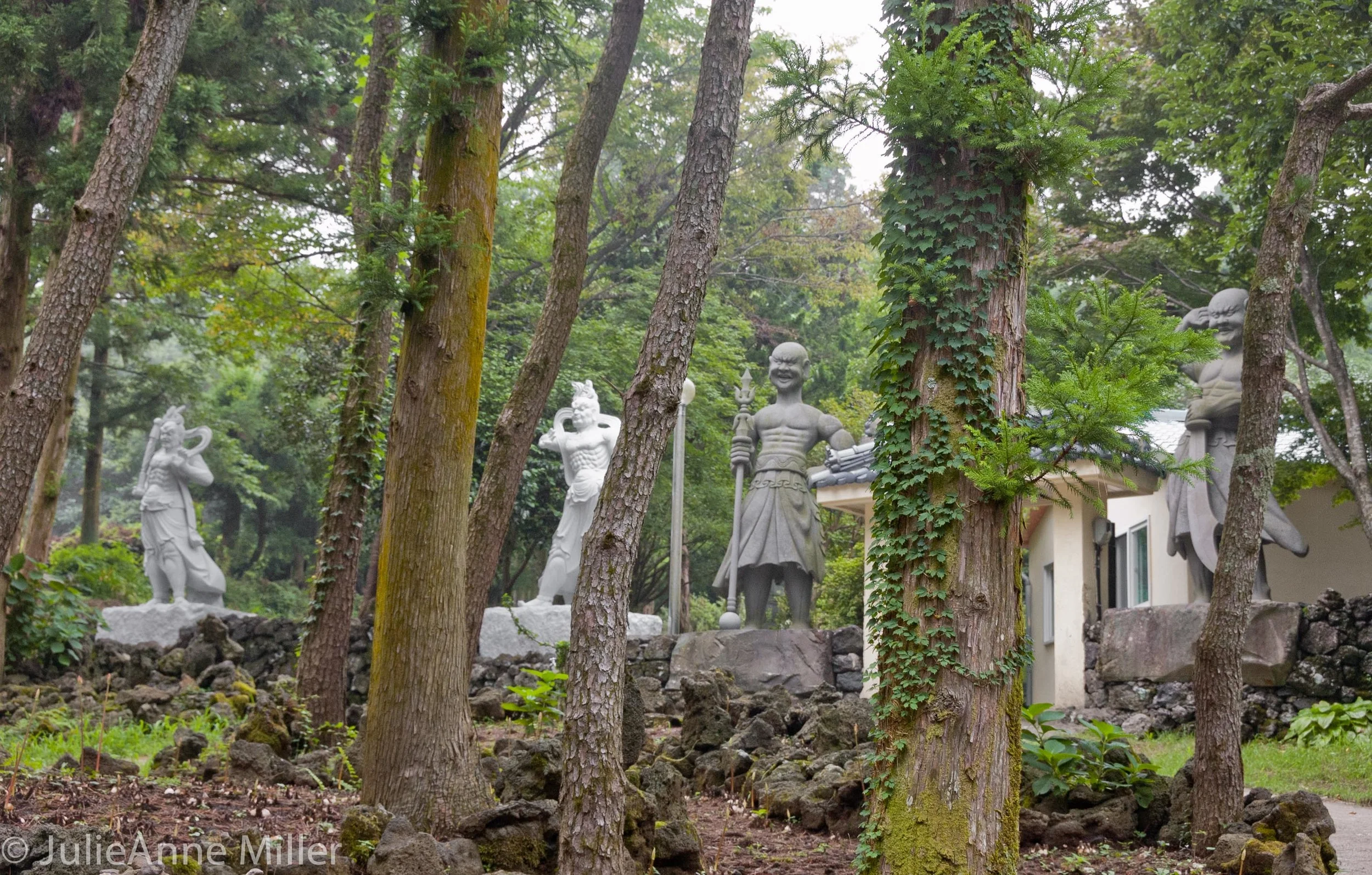 Jeolmul Forest