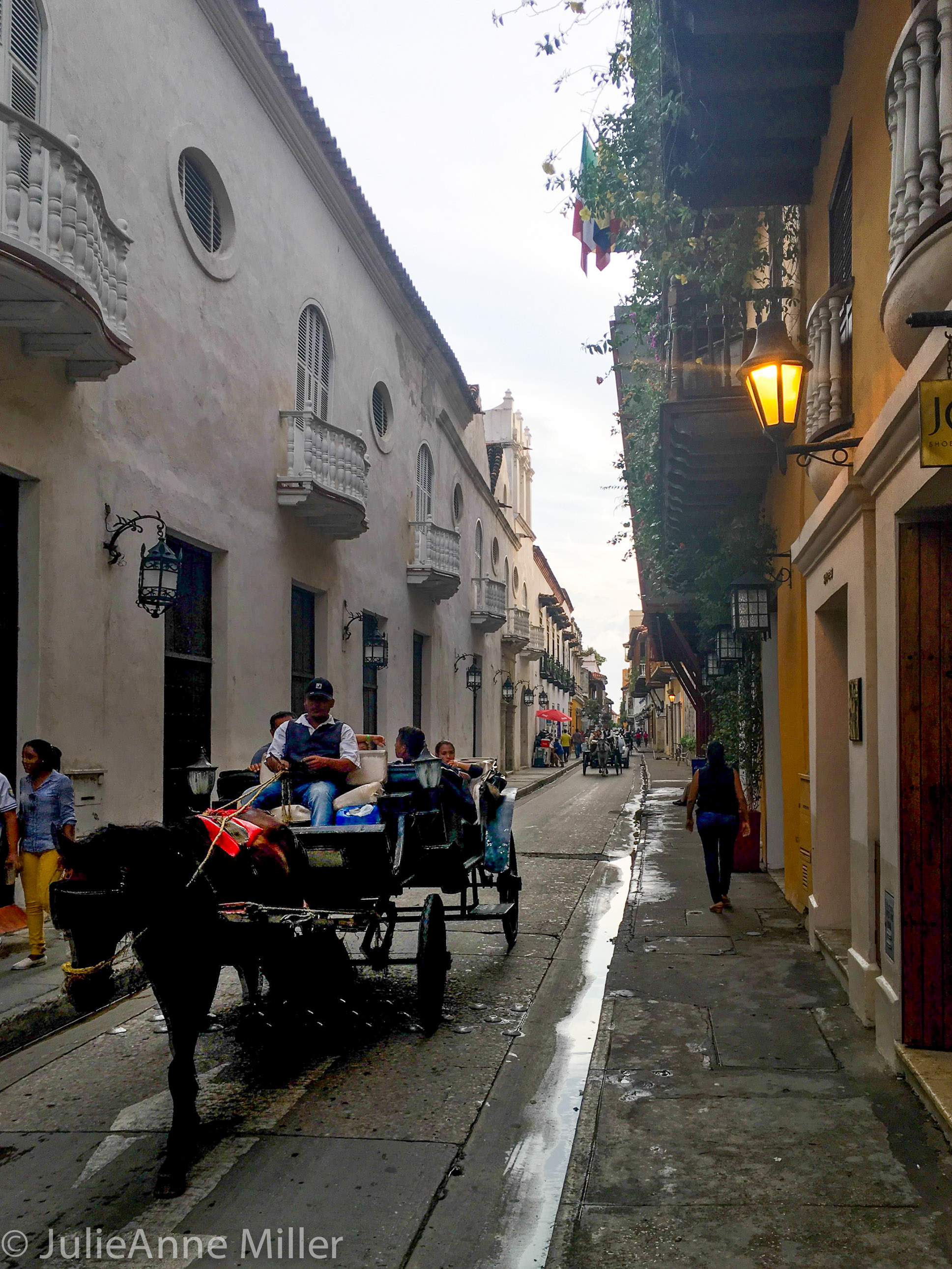 Old City 3 Calle.jpg