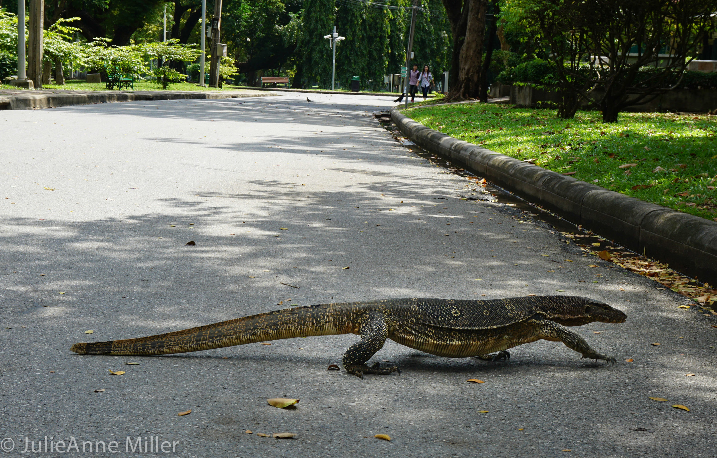 Lumpini Park