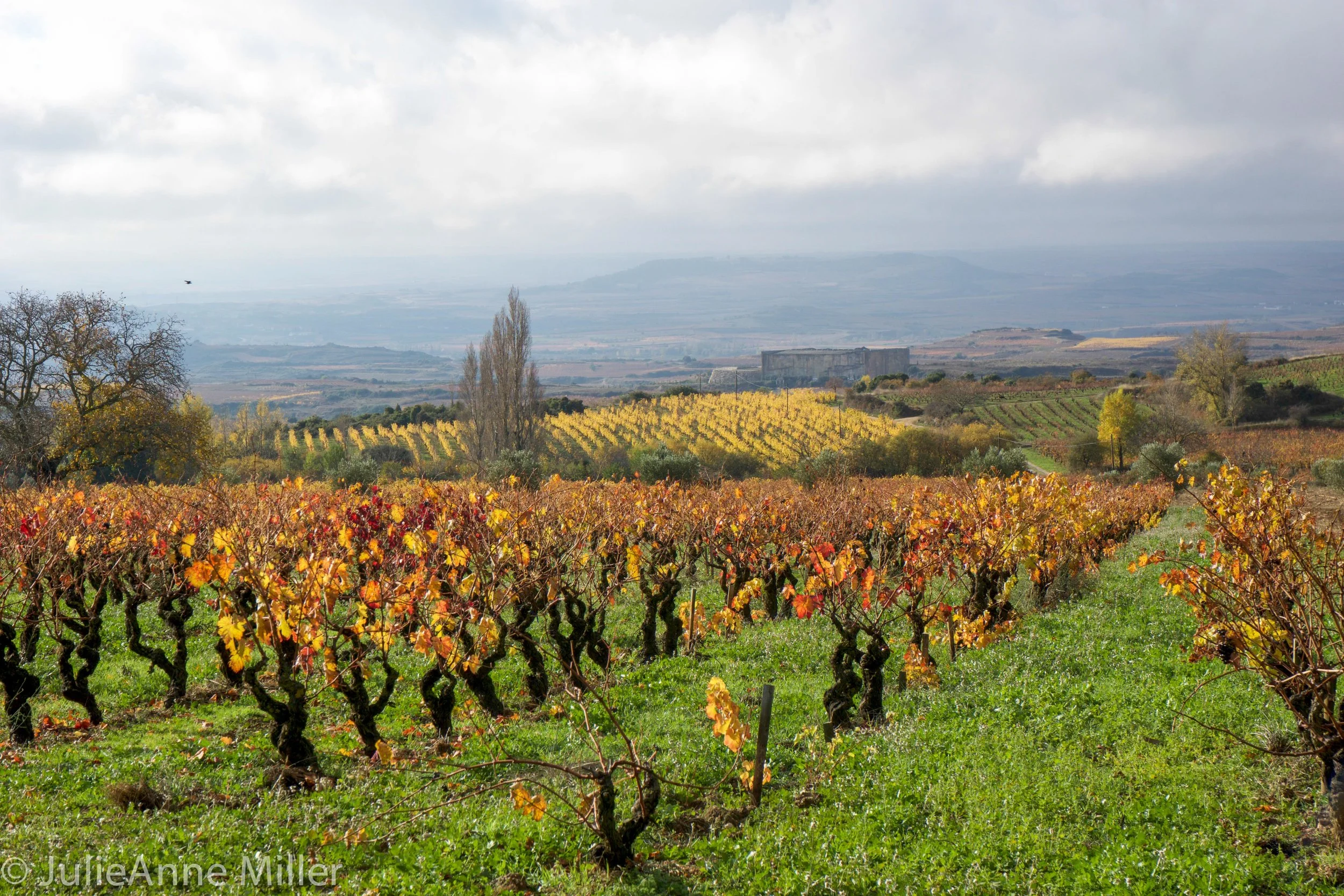 Remelluri Bodegas