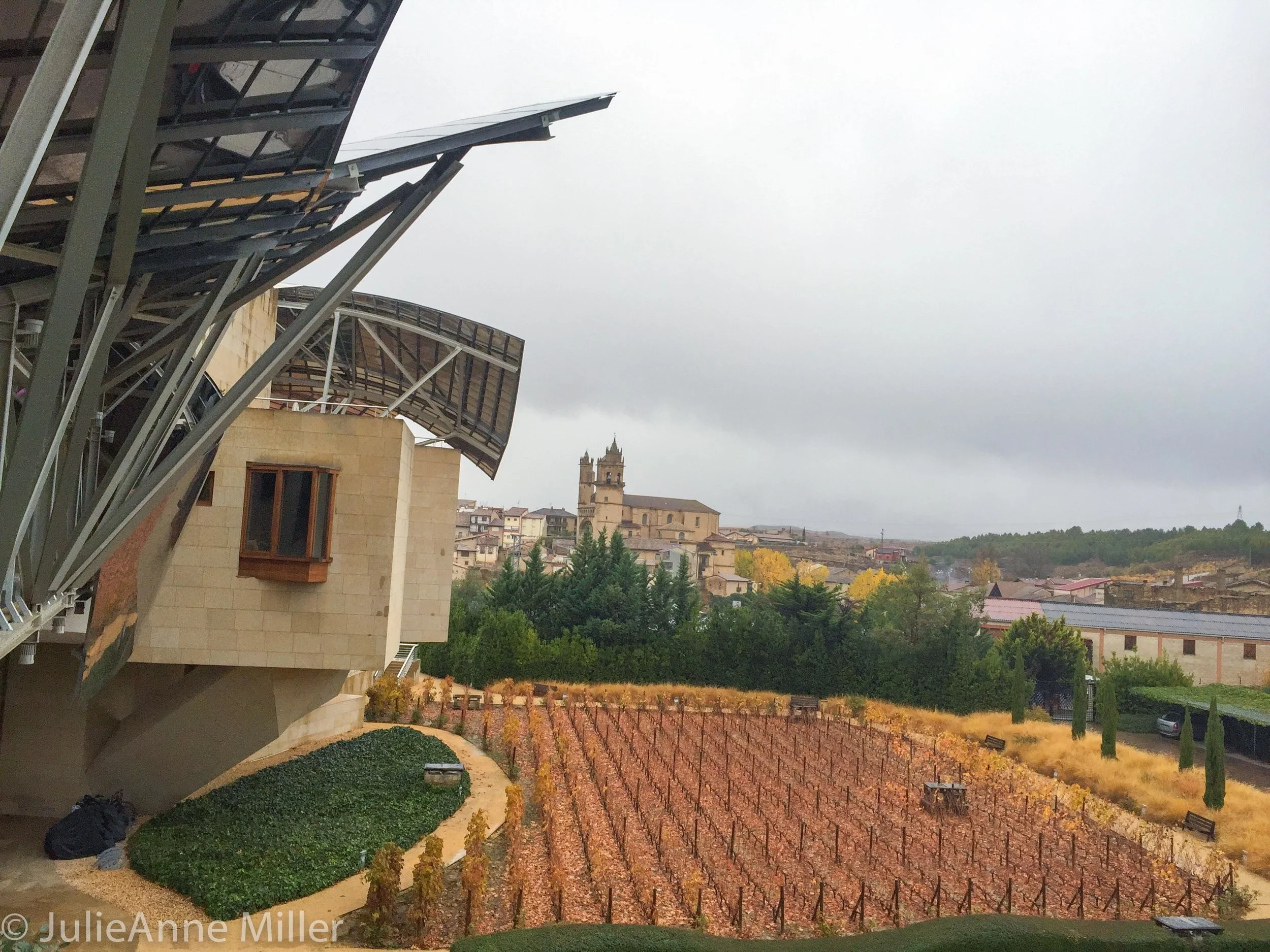 Hotel Marques de Riscale