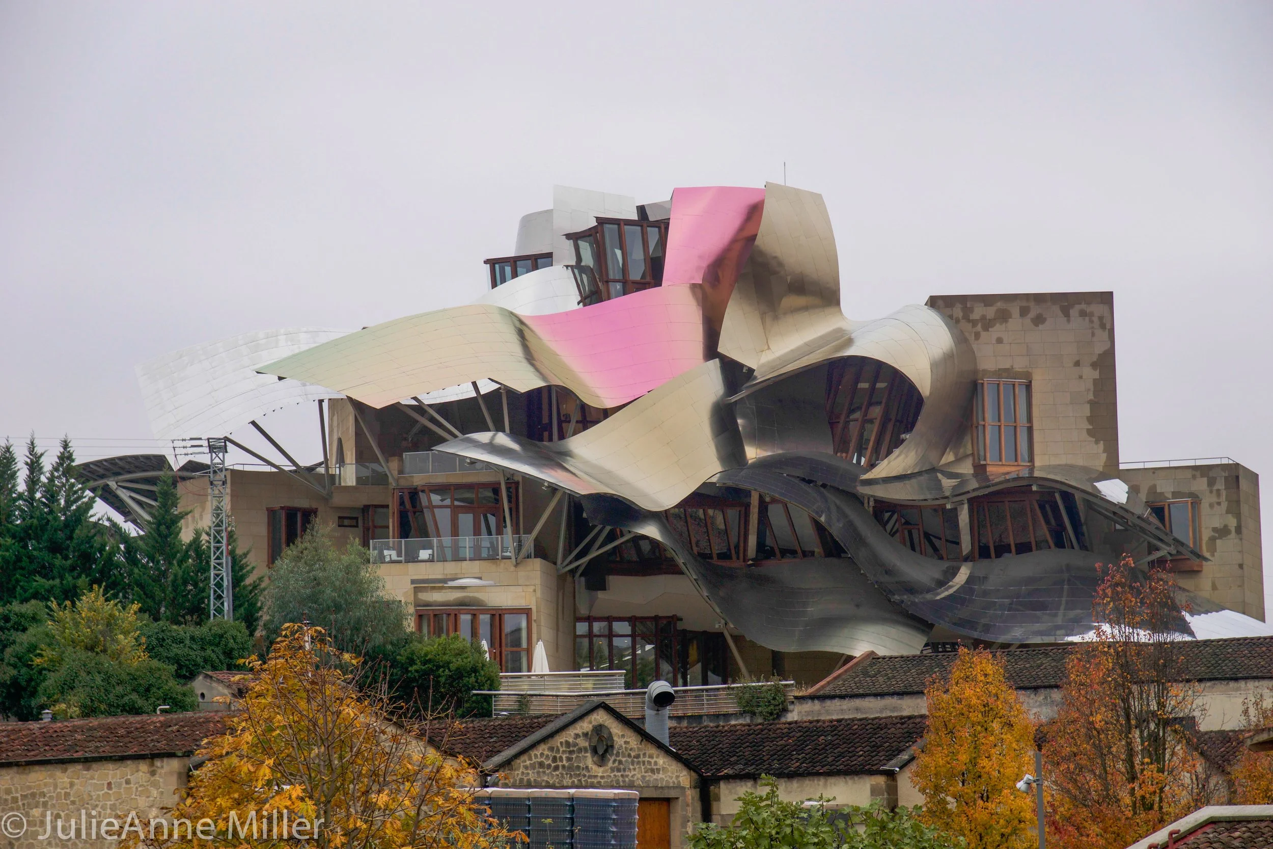 hotel Marques de Riscale