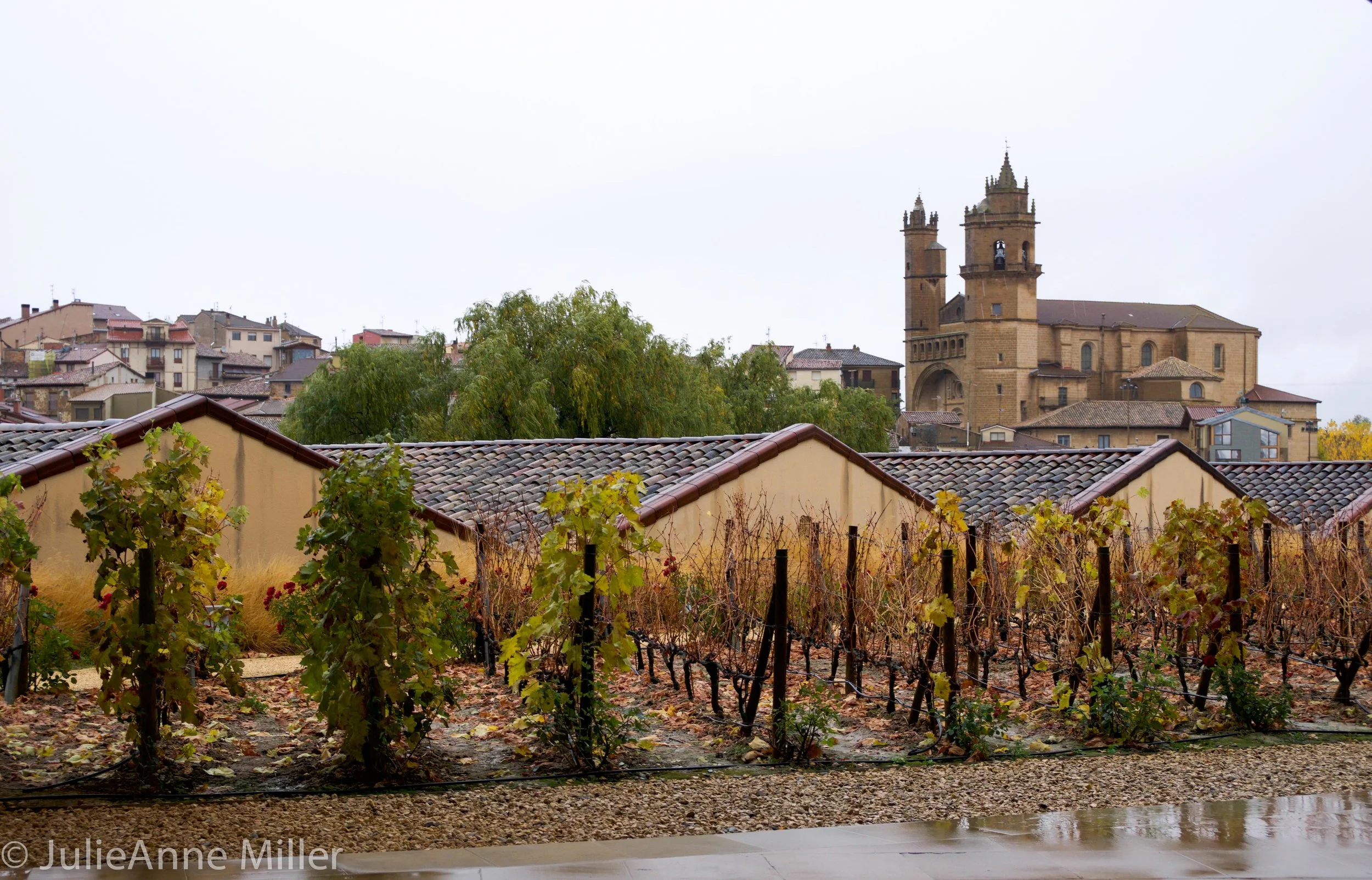 Marques de Riscale winery