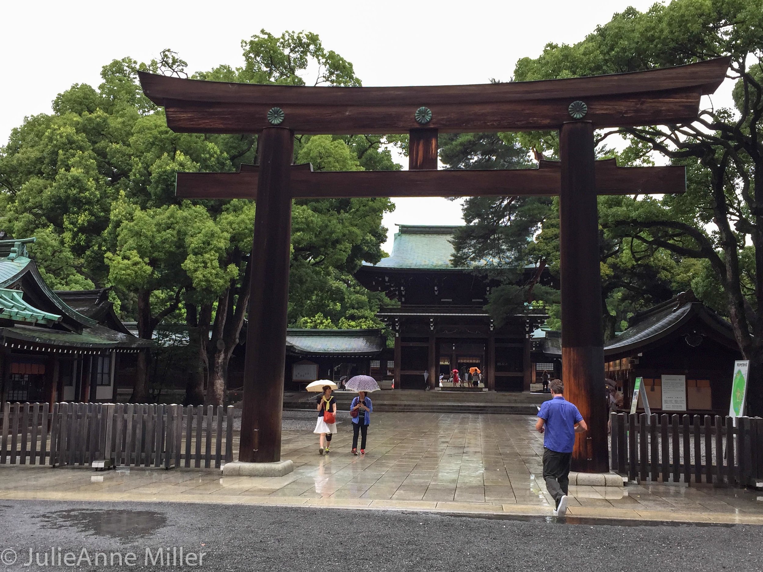 Meiji Jingū (明治神宮)