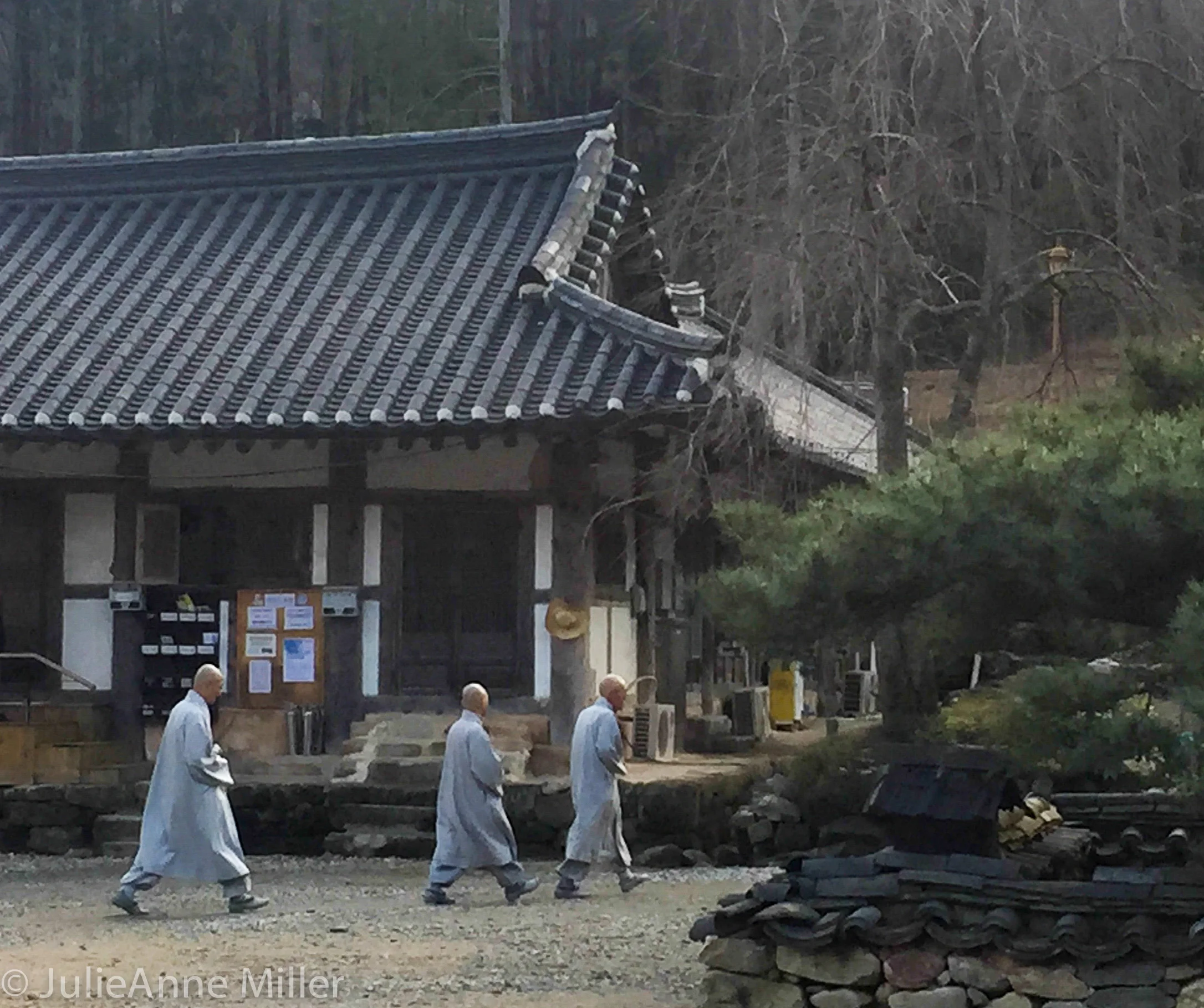 Seonam Temple Korean monks