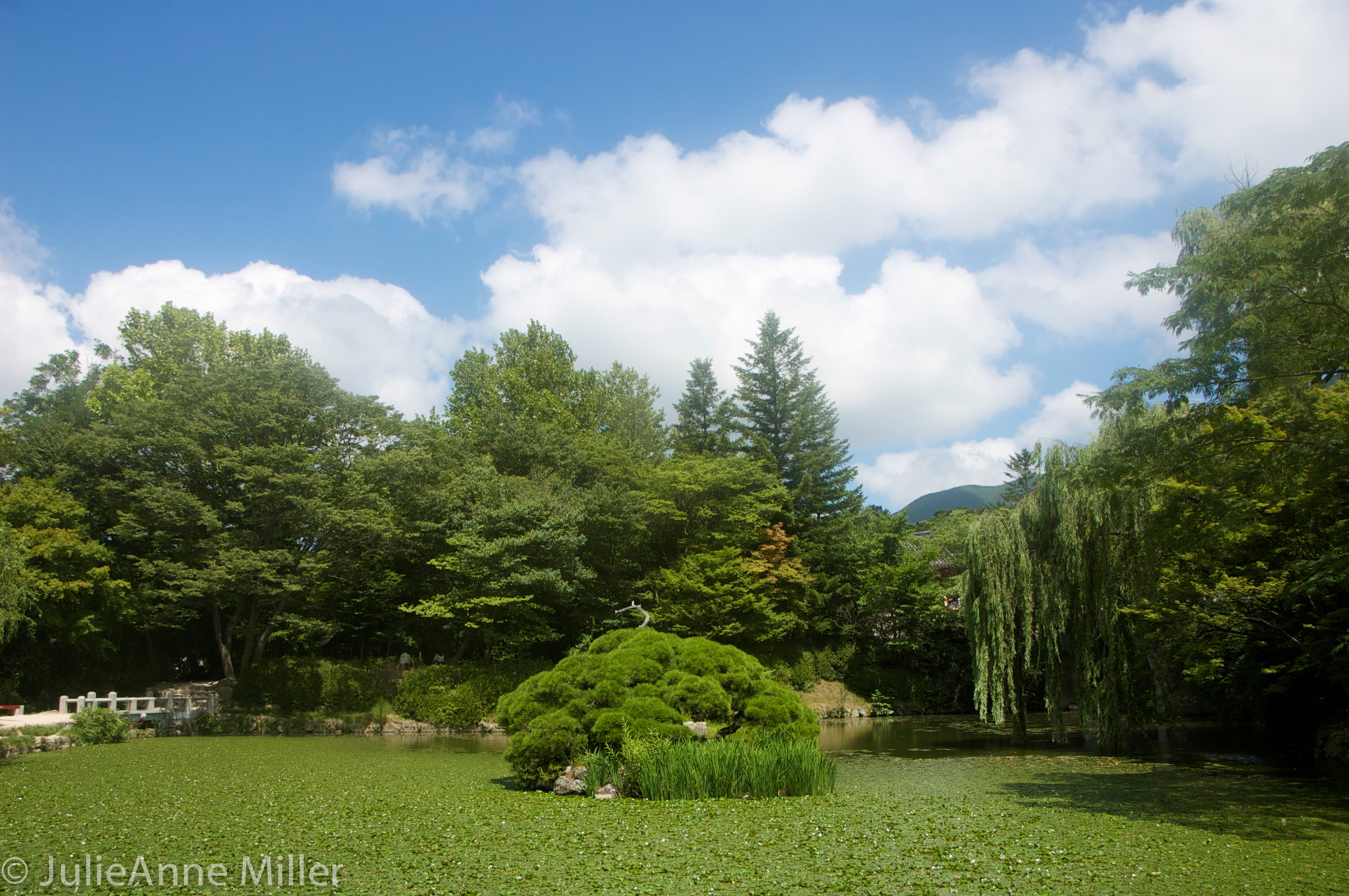 Bulkuksa Temple, Gyeongju