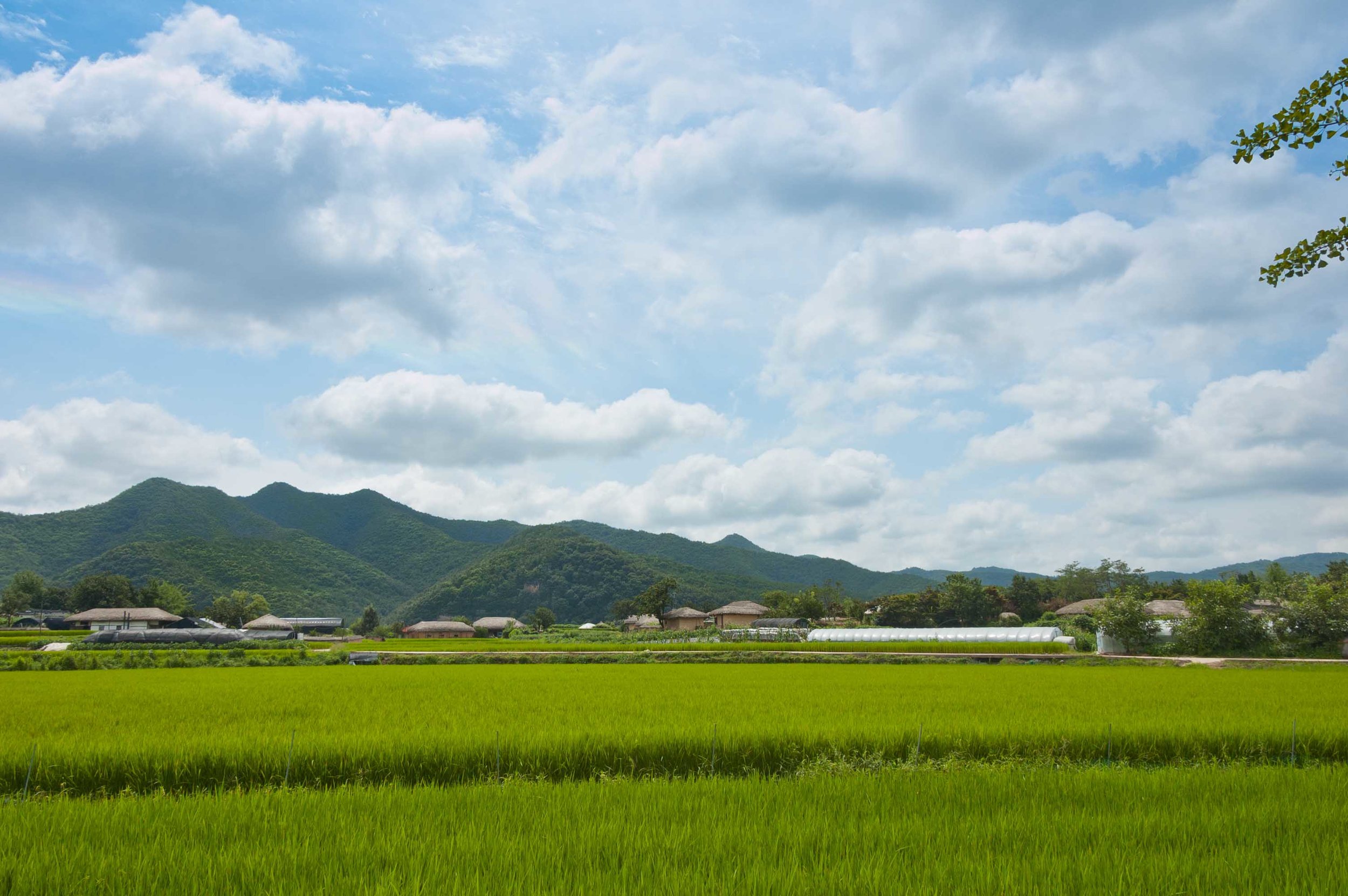 Hahoe Village (하회 마을) UNESCO, South Korea