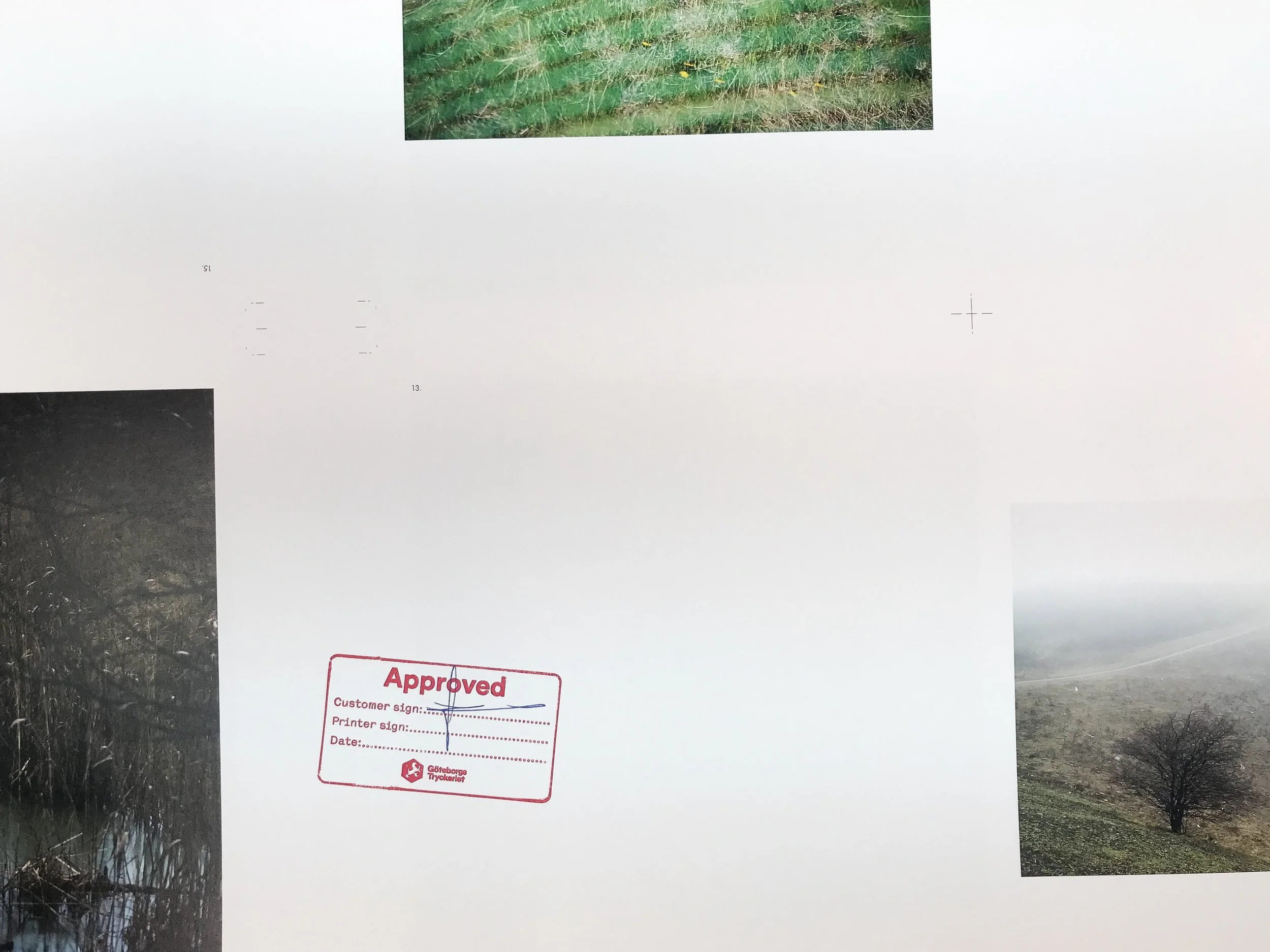 image1.jpeg