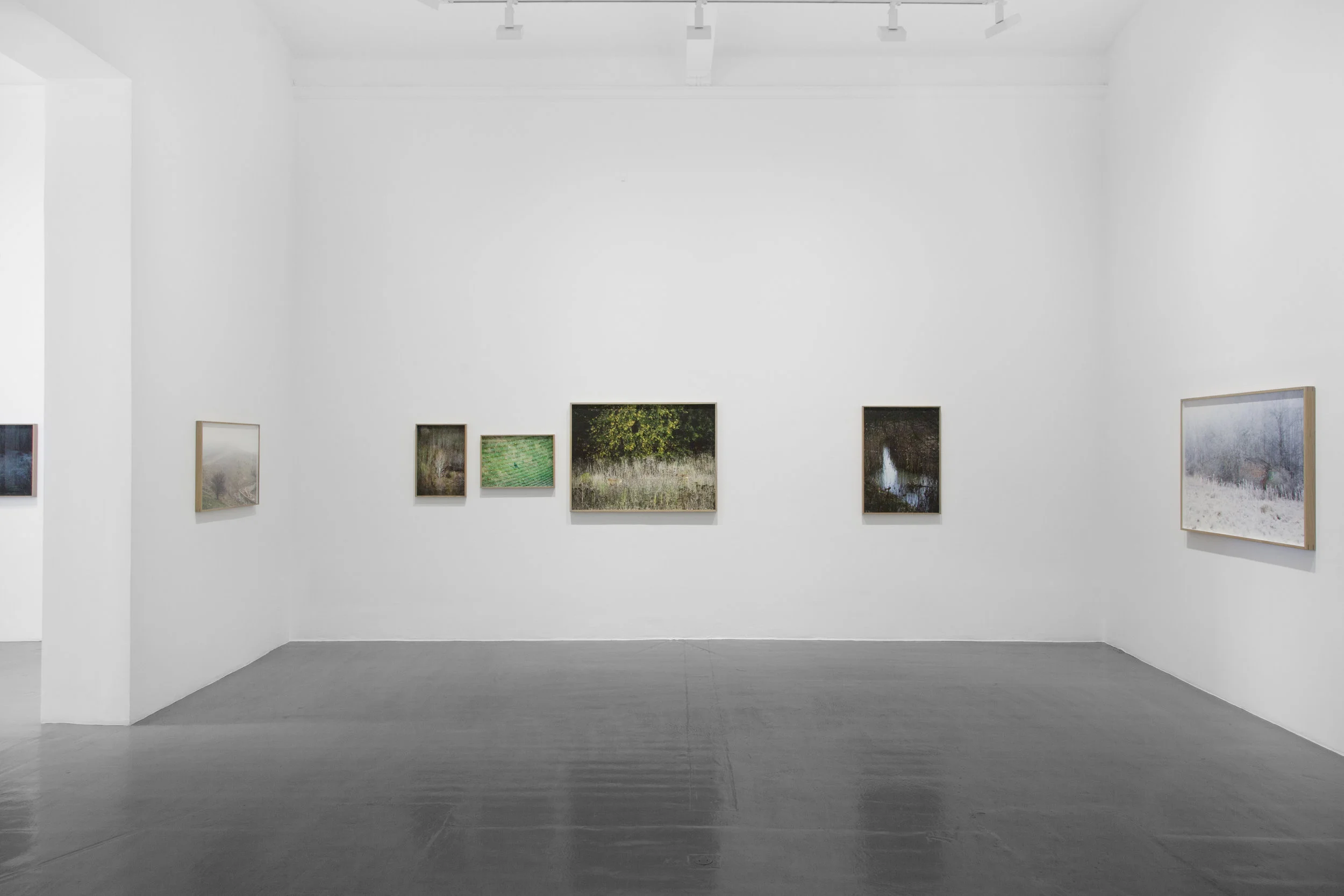Installation image. The Monument at Galleri Magnus Karlsson.