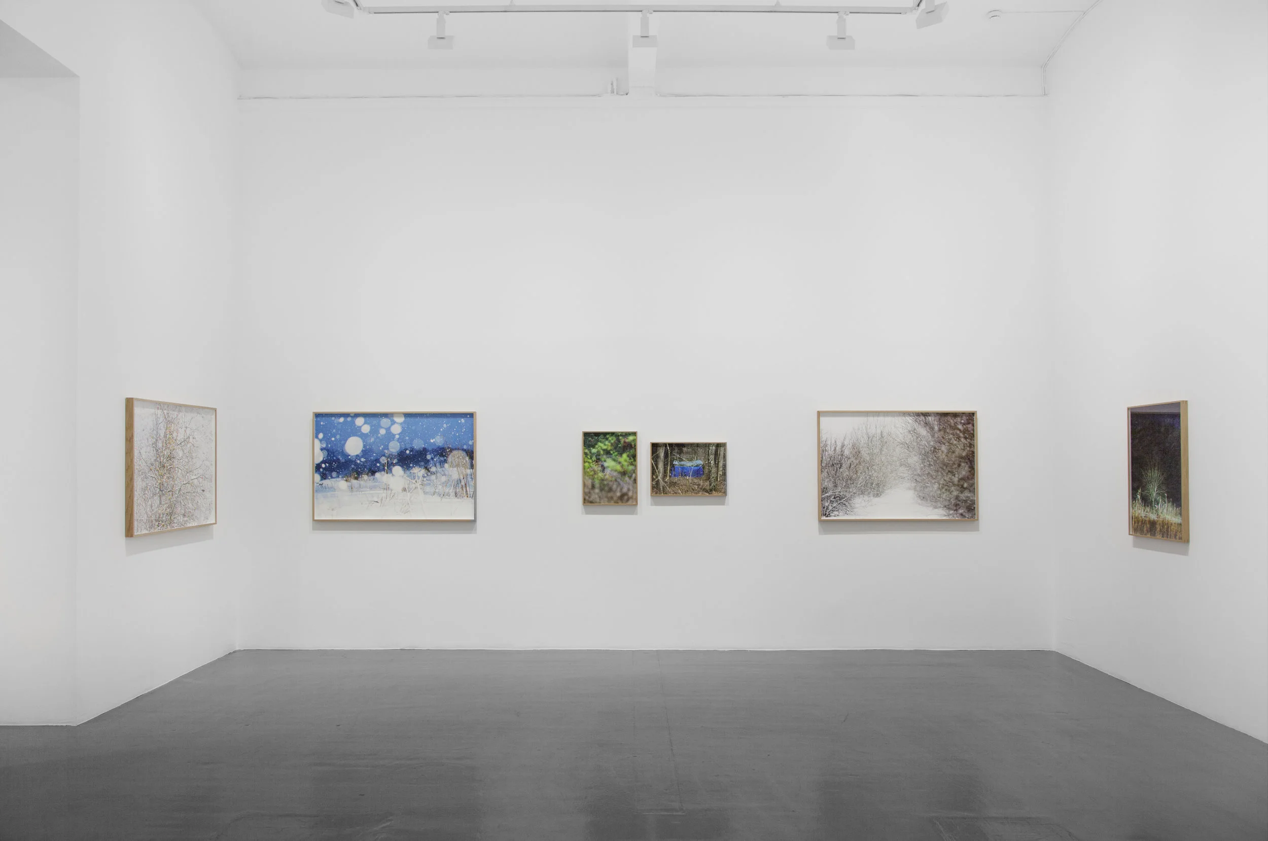 Installation image. The Monument at Galleri Magnus Karlsson.