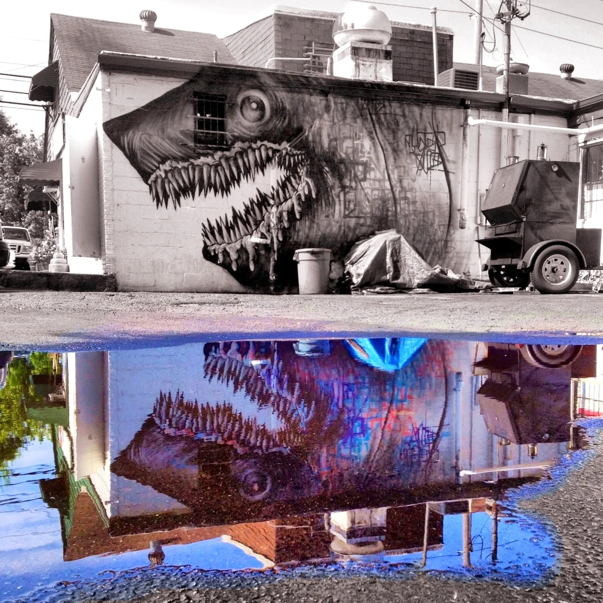 sharktoofcopy.jpg