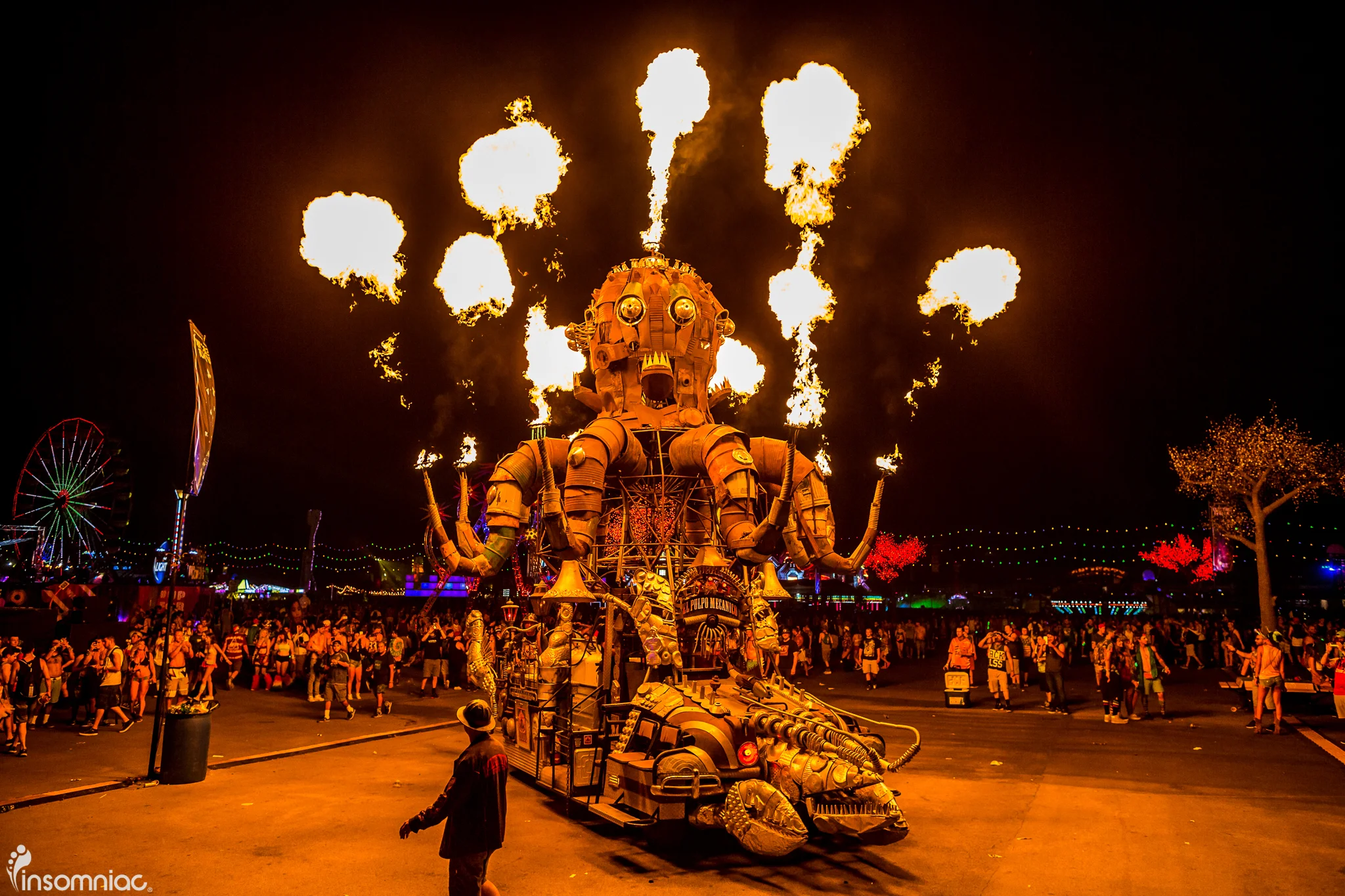 edclv_2015_iwally_alivecoverage-8.jpg